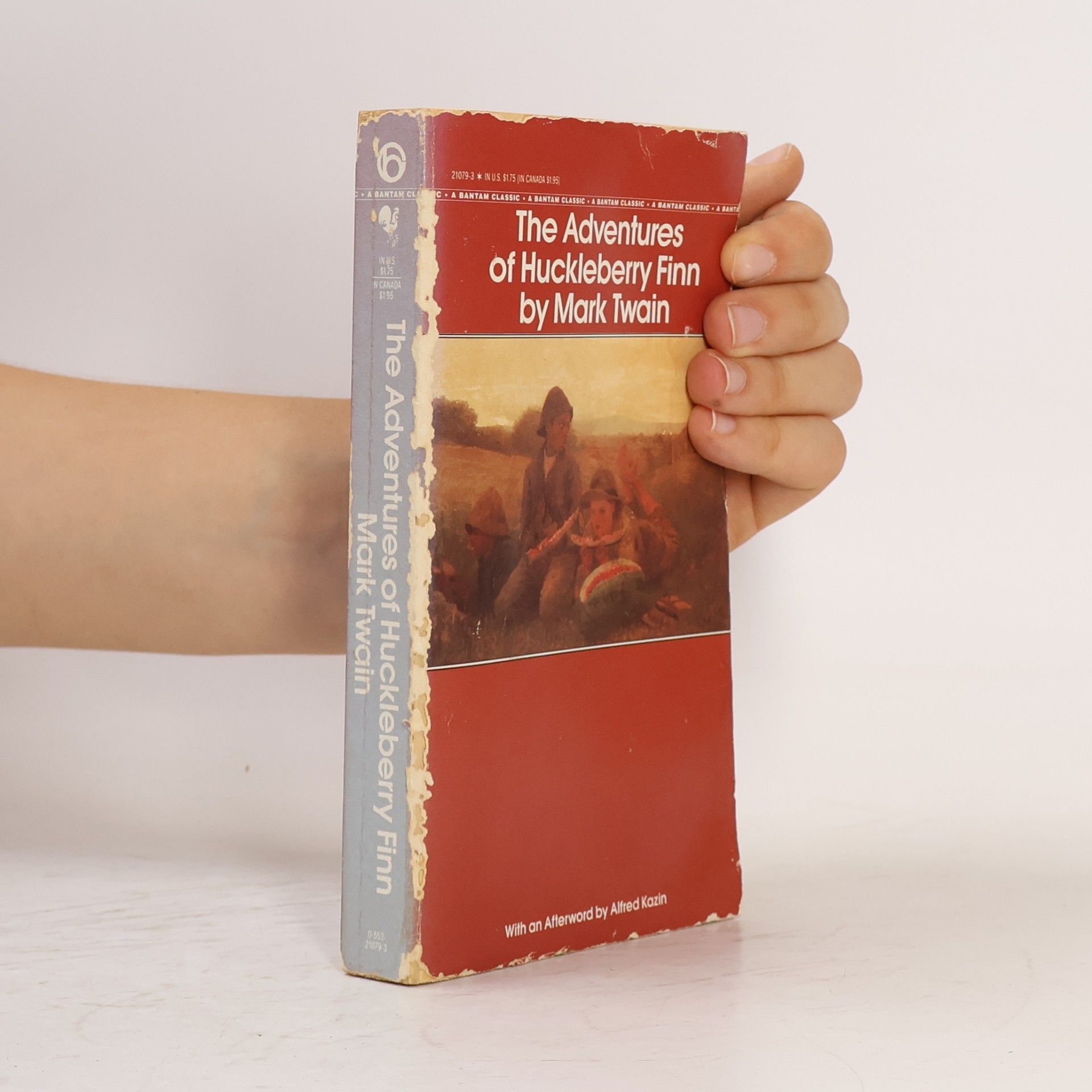 Mark Twain The Adventures of Huckleberry Finn