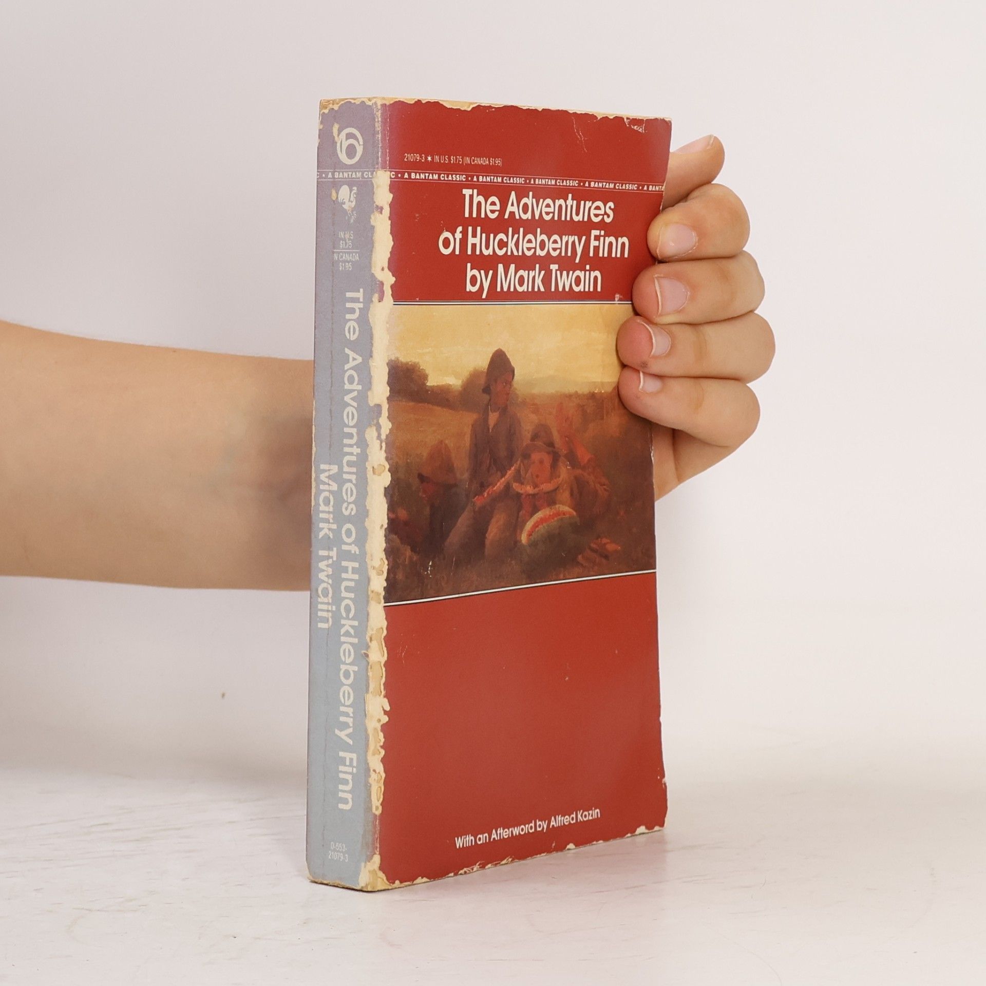 Mark Twain The Adventures of Huckleberry Finn