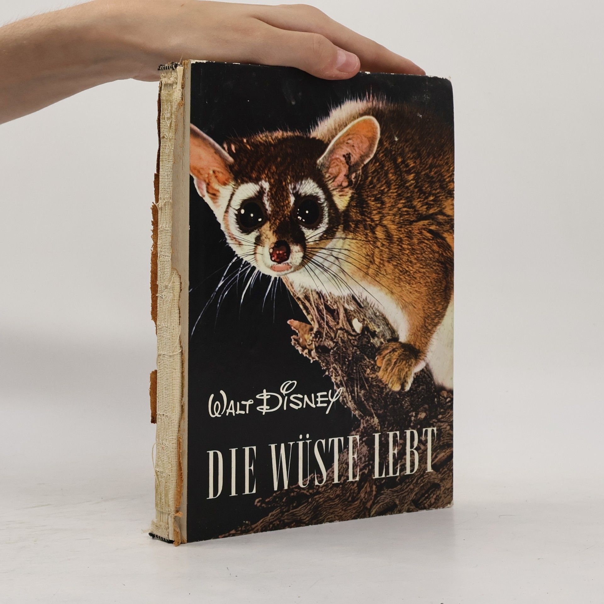Manfred Hausmann Die Wüste lebt