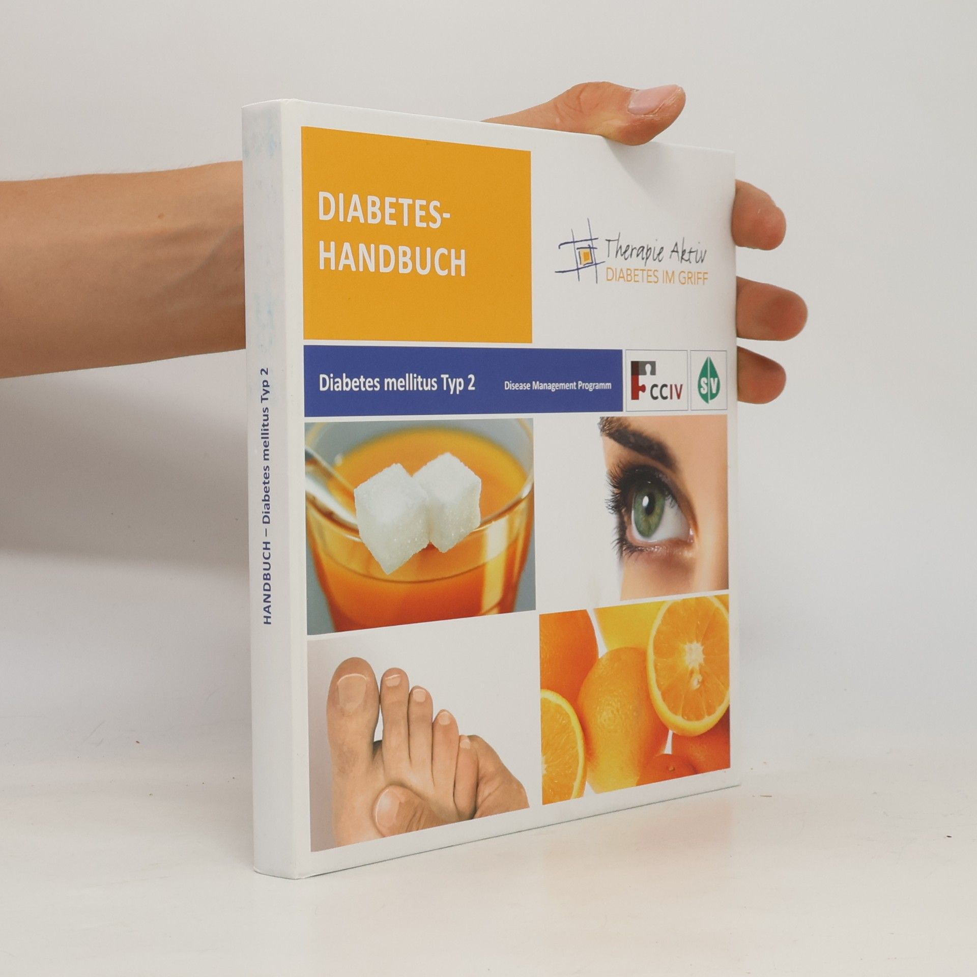 Kolektiv autorů Diabetes-Handbuch. Diabetes mellitus Typ 2