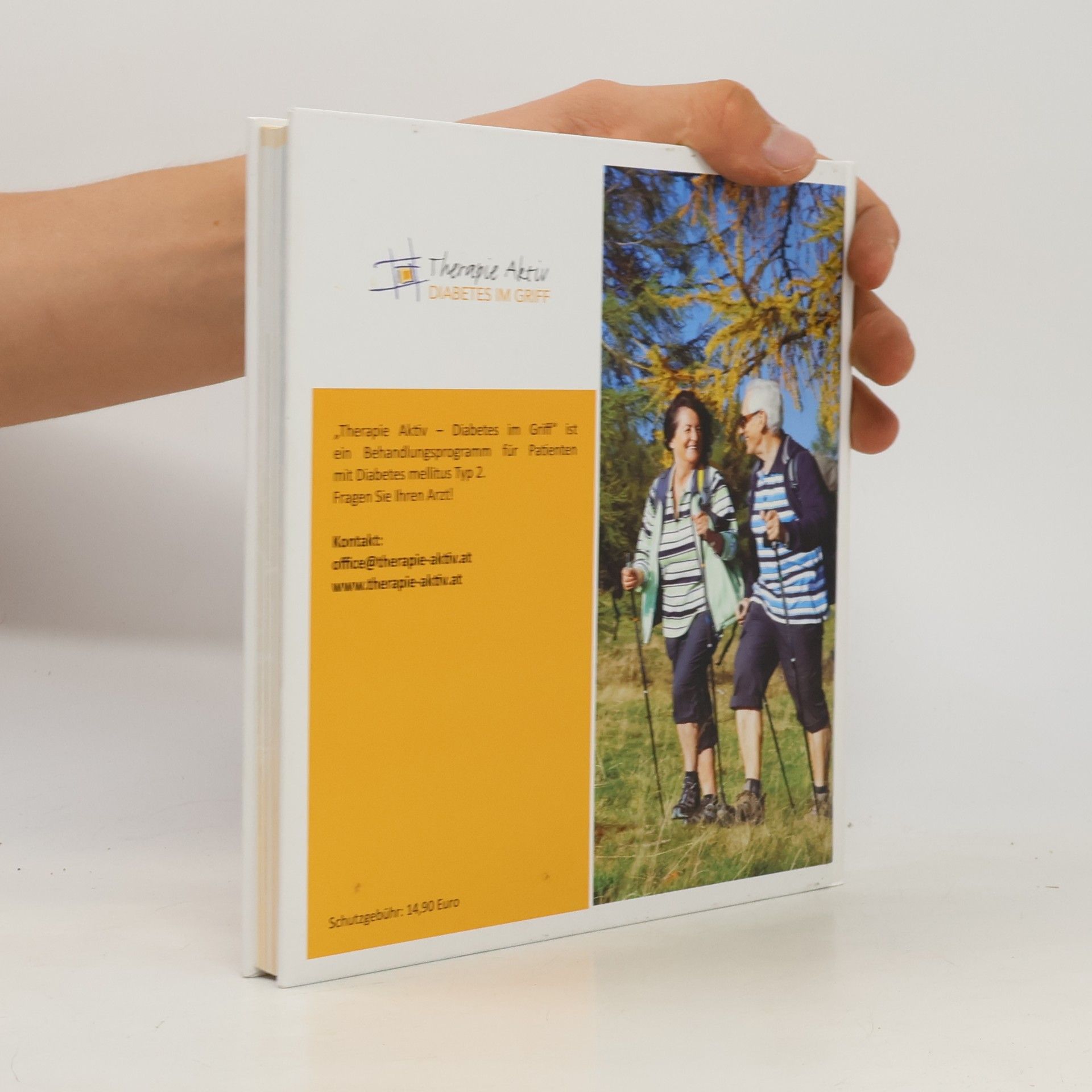 Autorenkollektiv Diabetes-Handbuch. Diabetes mellitus Typ 2