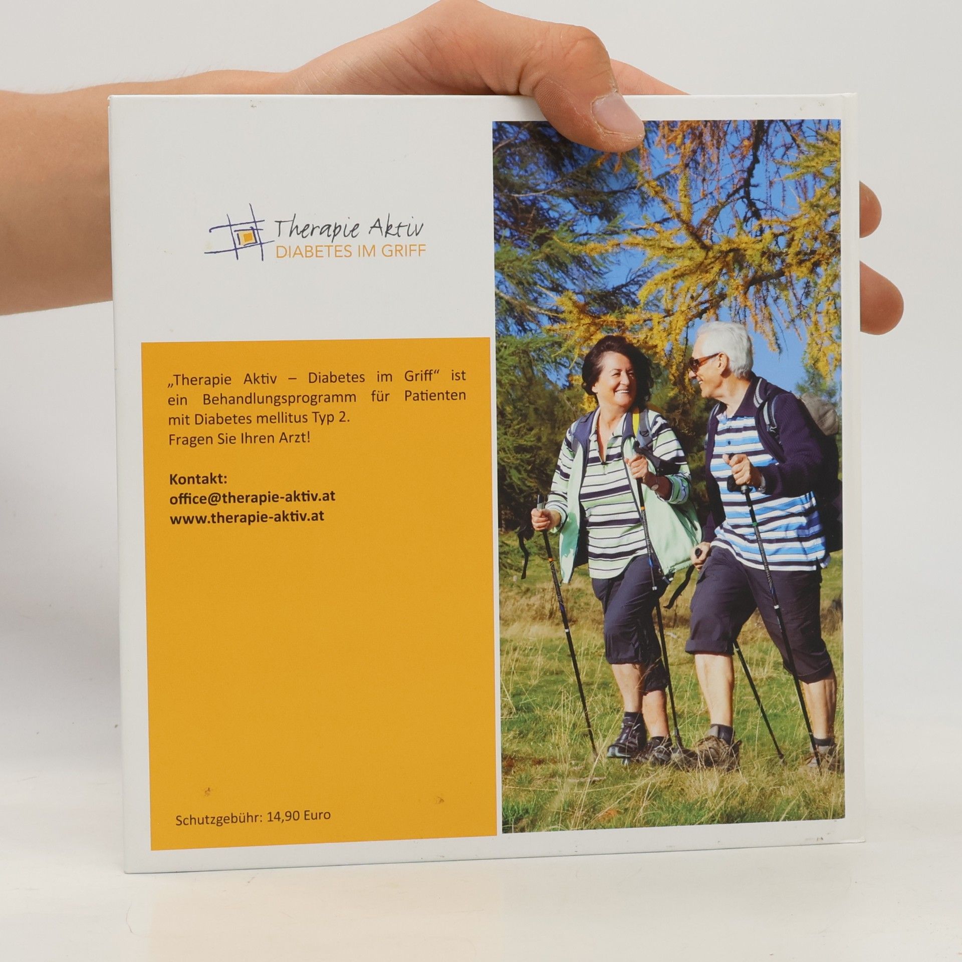 Autorenkollektiv Diabetes-Handbuch. Diabetes mellitus Typ 2