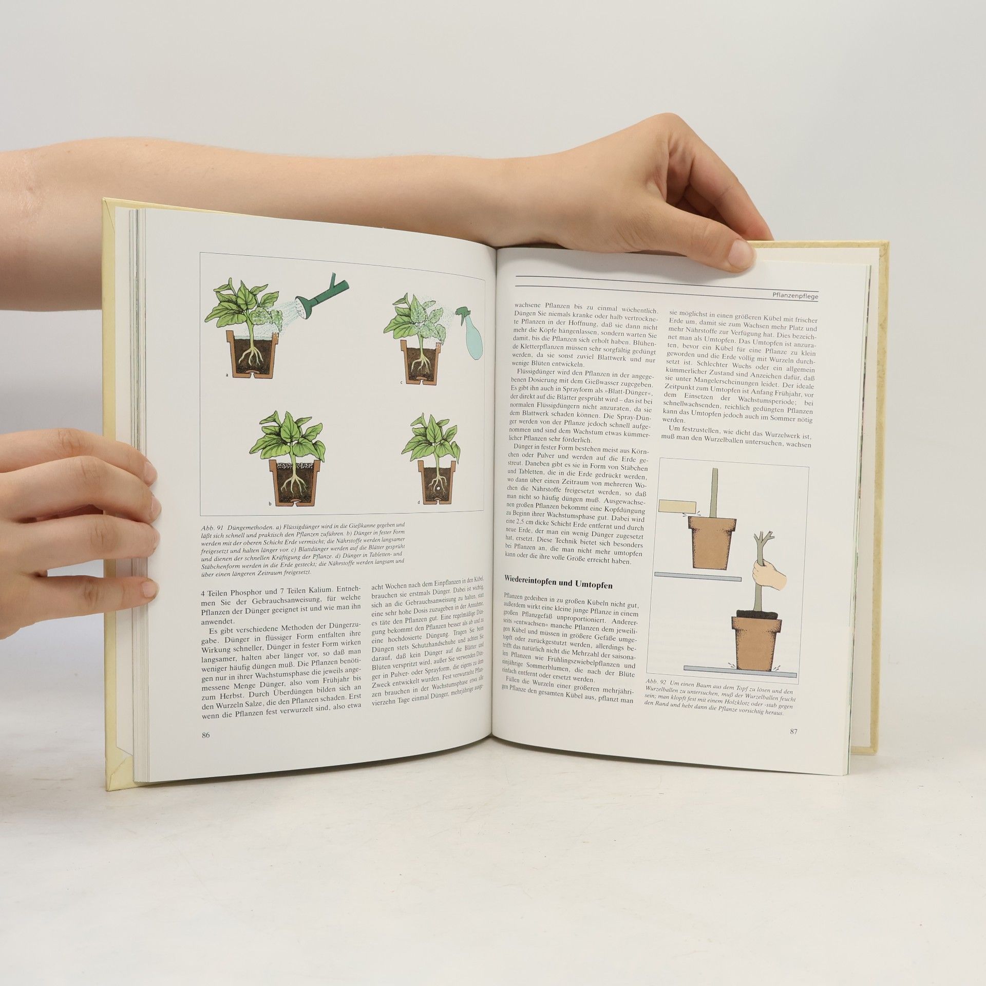 Yvonne Rees Gartengestaltung mit Kübeln und Schalen