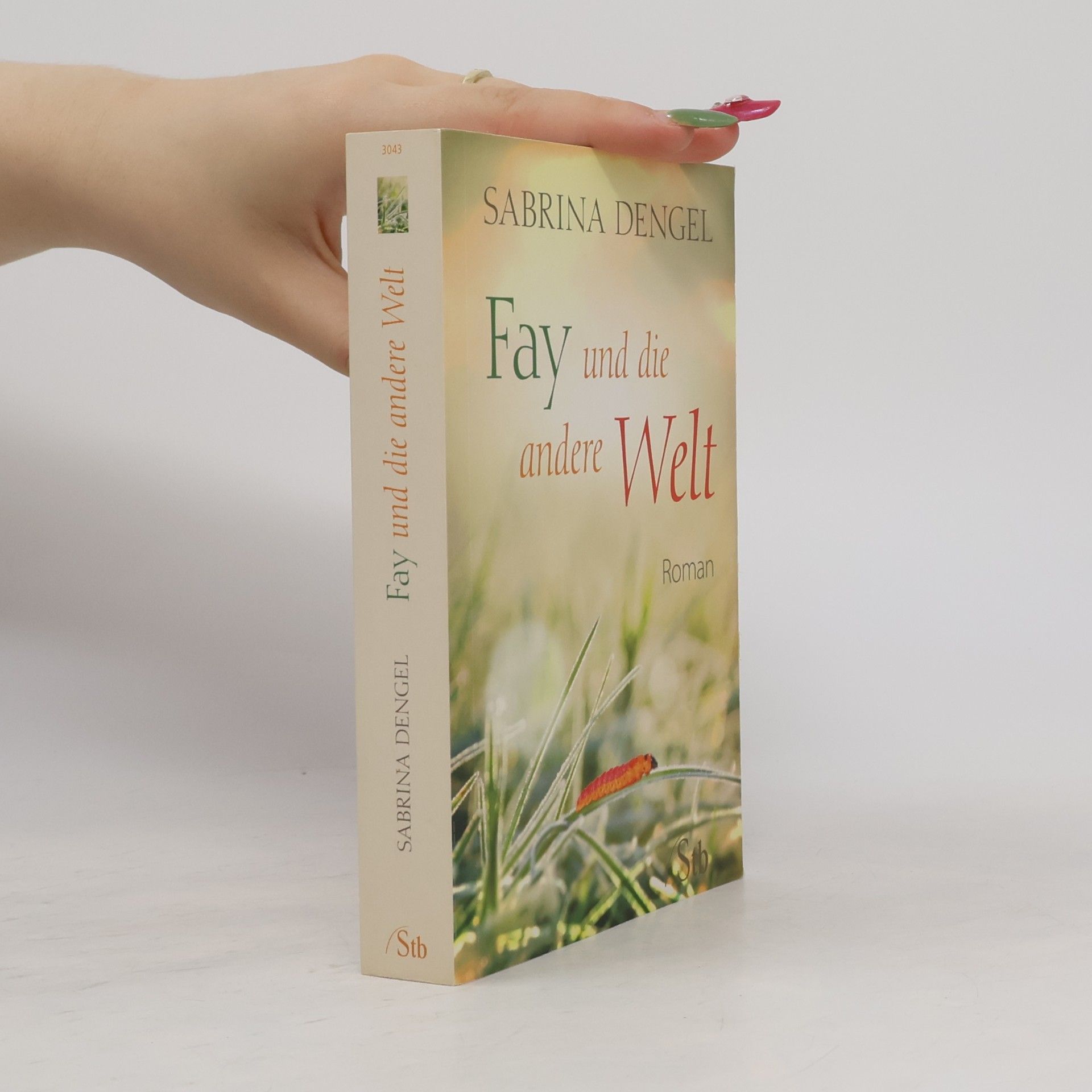 Sabrina Dengel Fay und die andere Welt
