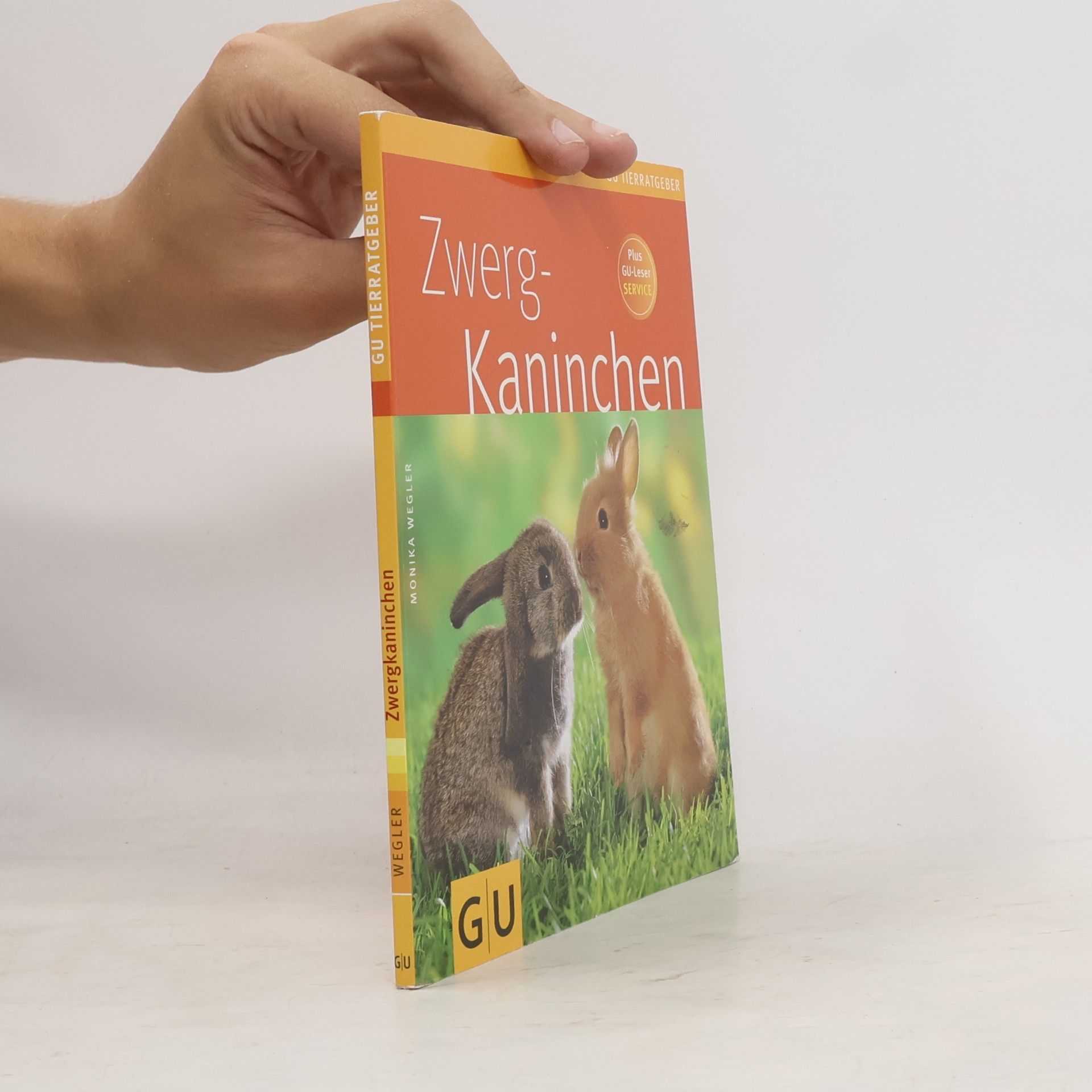 Monika Wegler Zwerg - Kaninchen