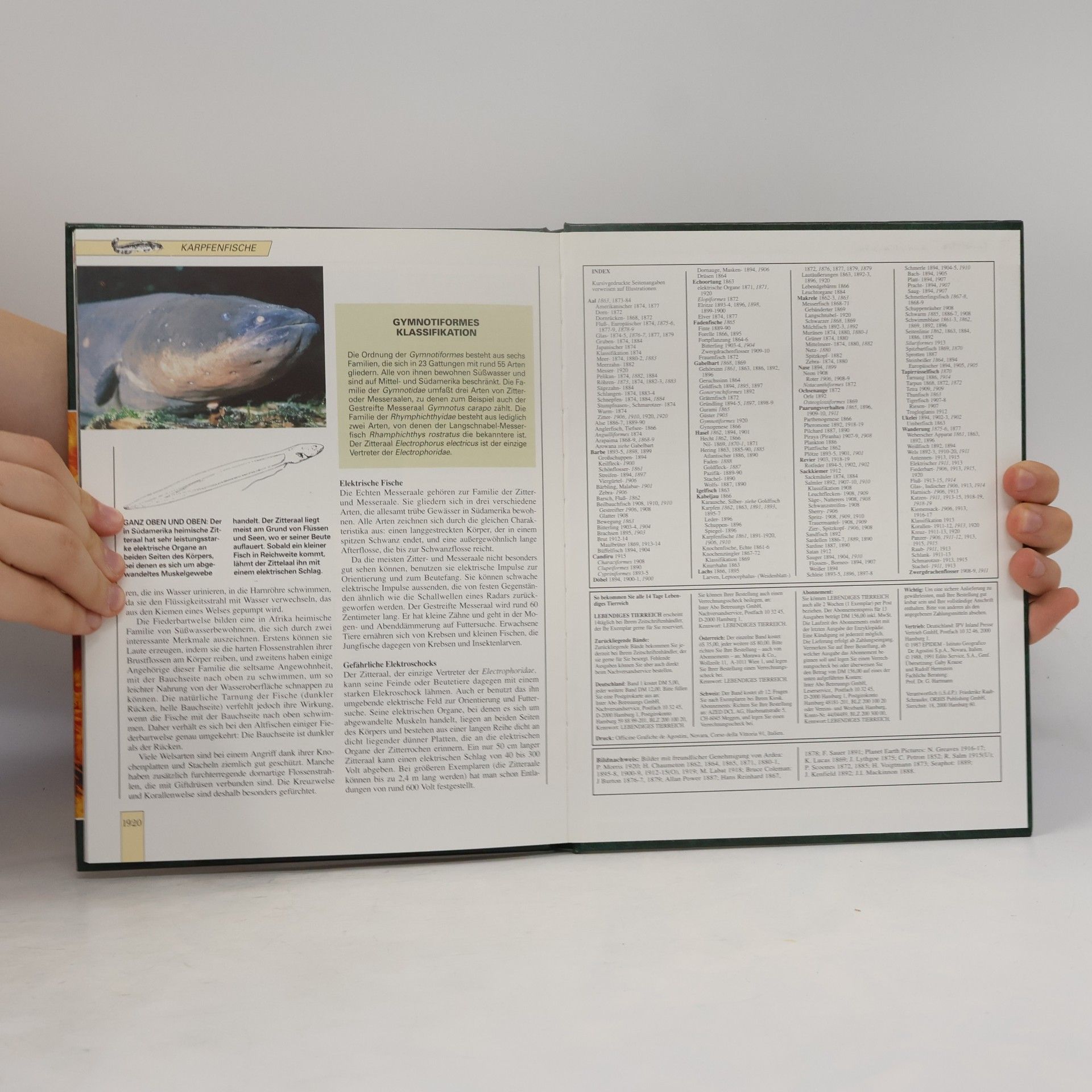Various authors Lebendiges Tierreich 32