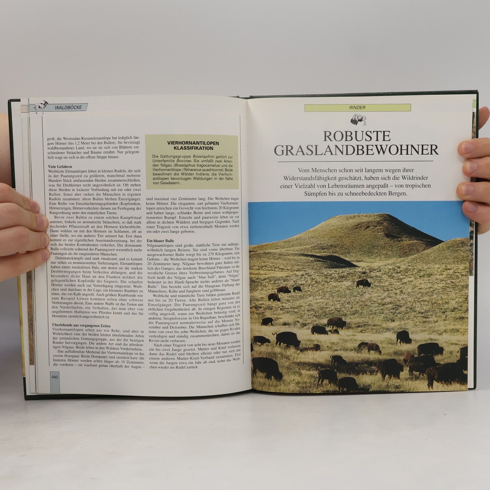 Autores varios Lebendiges Tierreich. Band 8