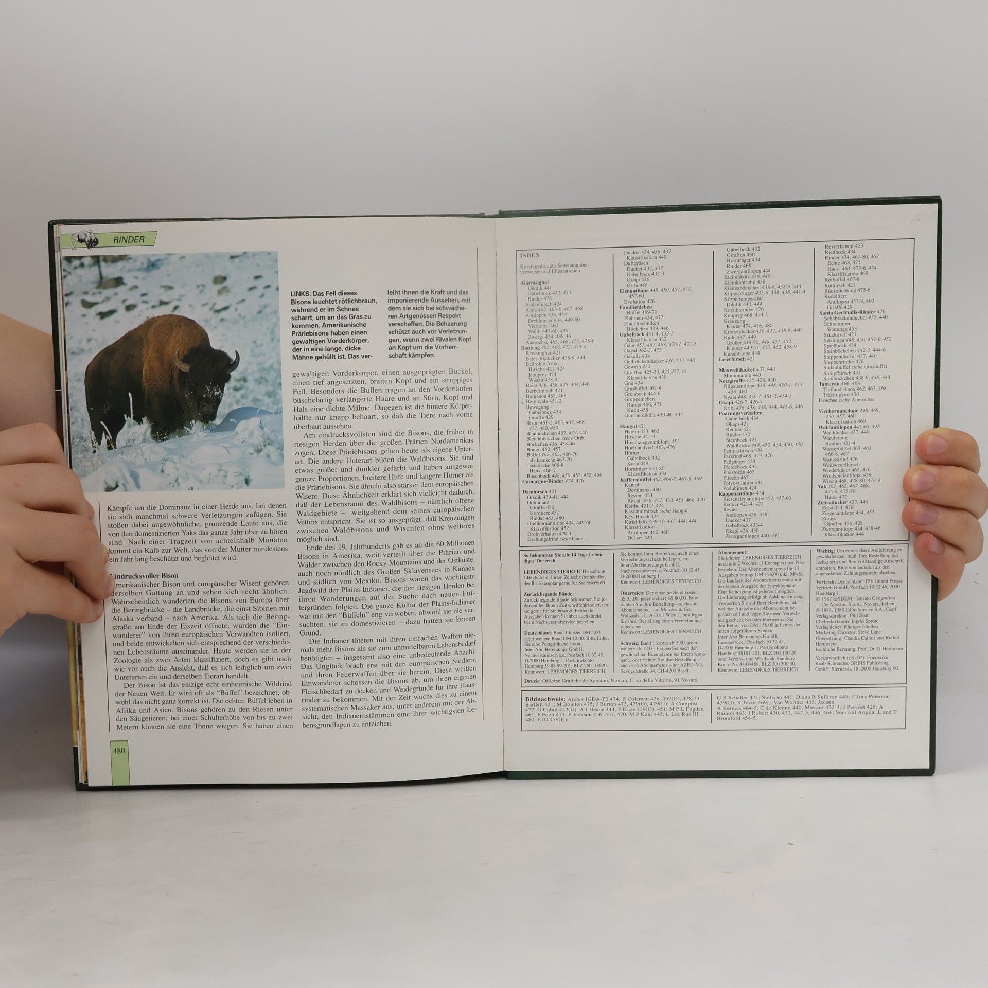 Autores varios Lebendiges Tierreich. Band 8