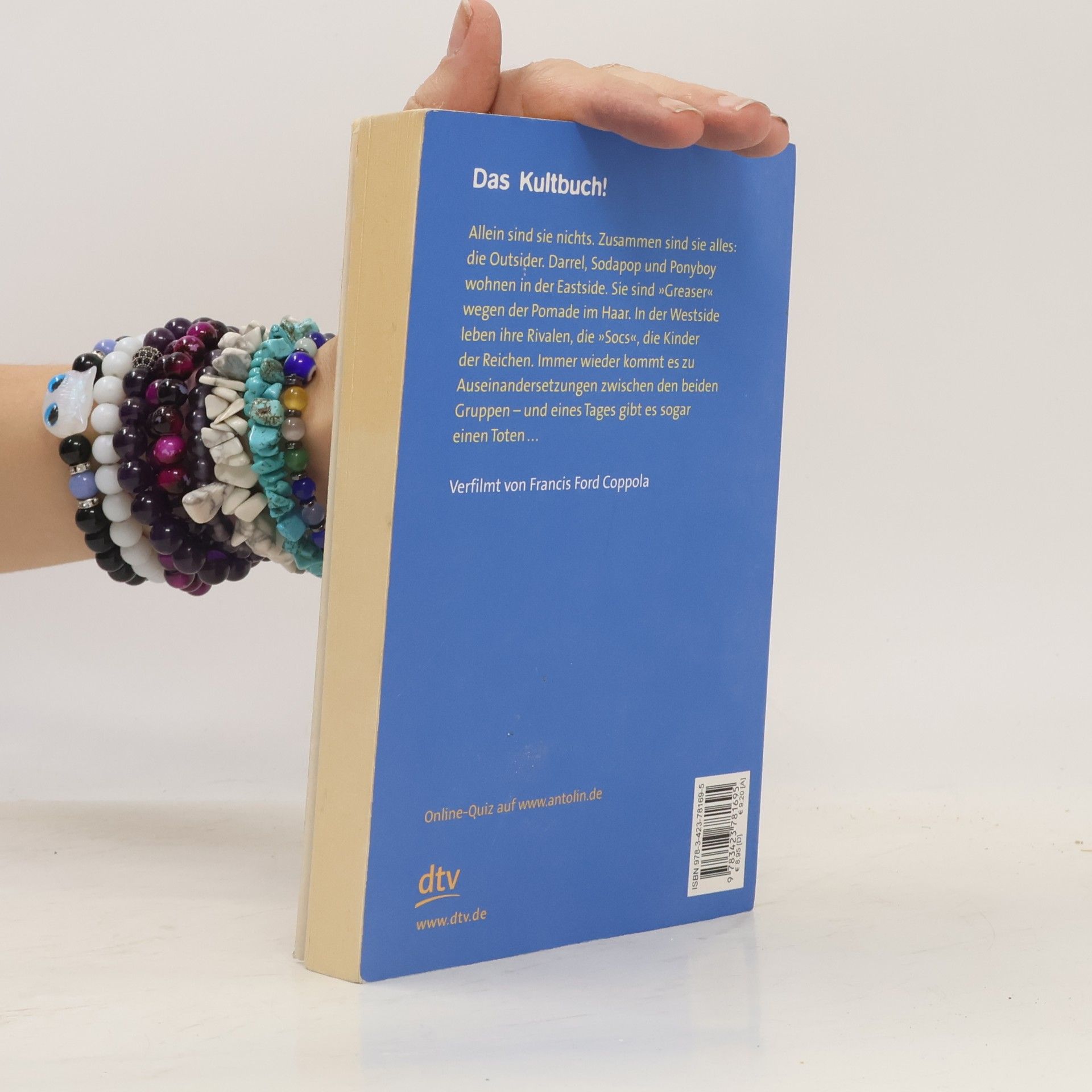 S. E. Hinton Die Outsider