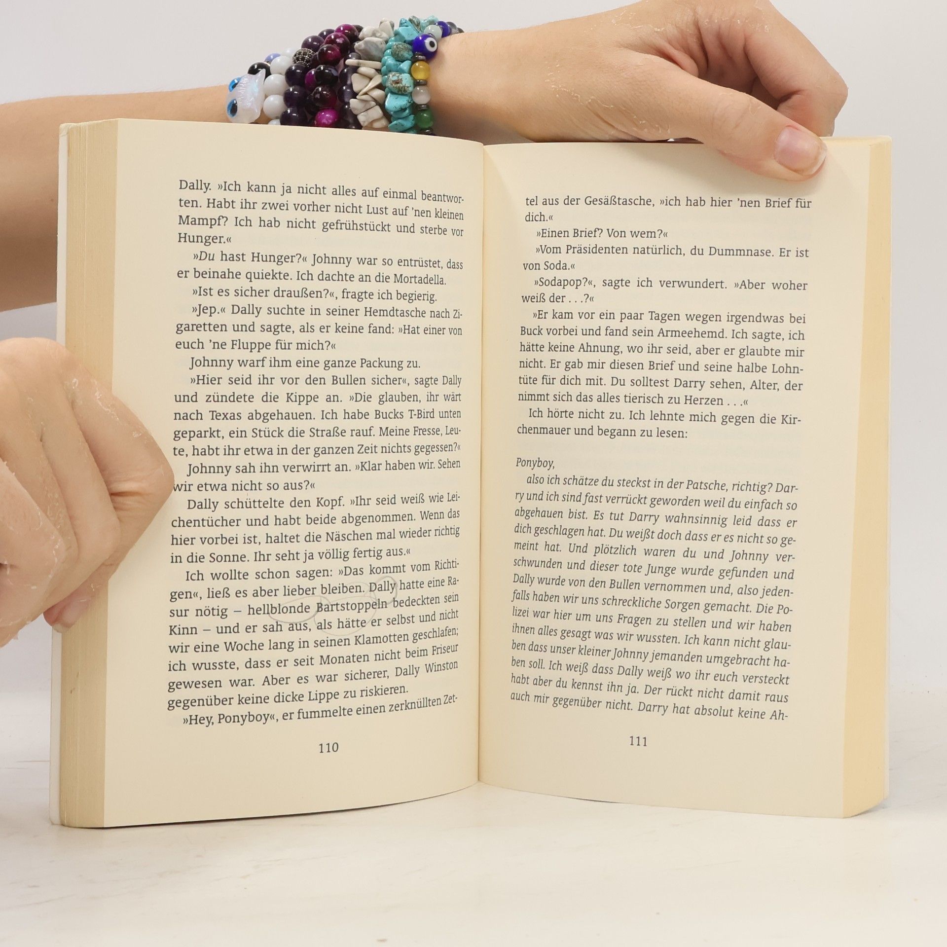 S. E. Hinton Die Outsider