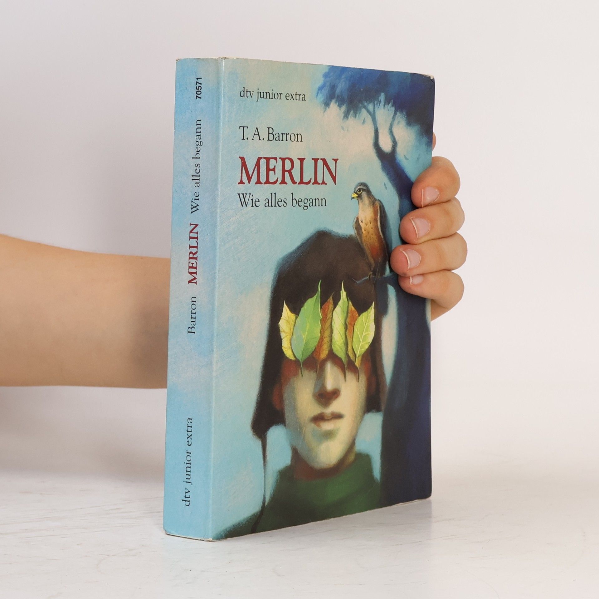 T. A. Barron Merlin. Wie alles begann