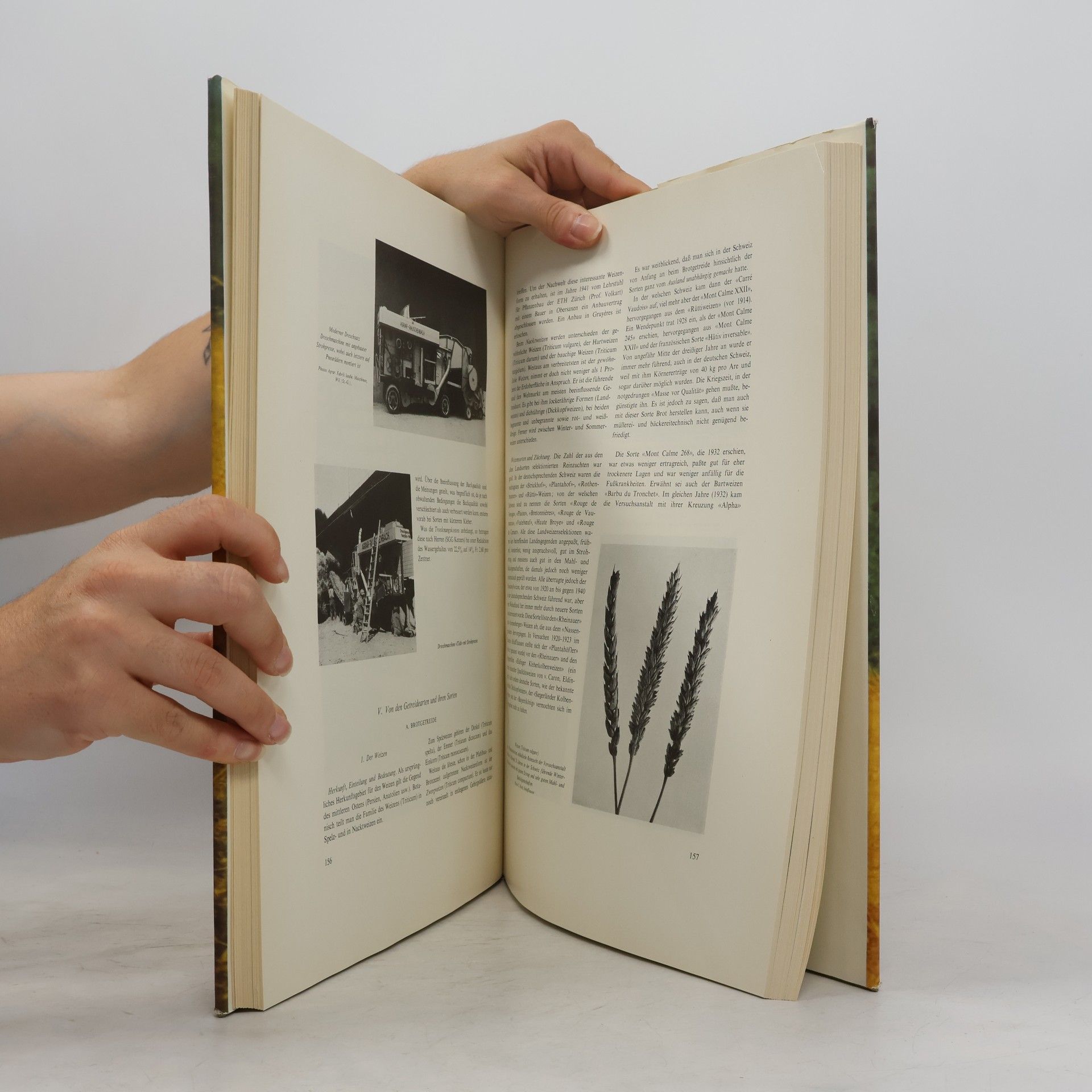 kolektiv Das Buch vom Schweizer Brot