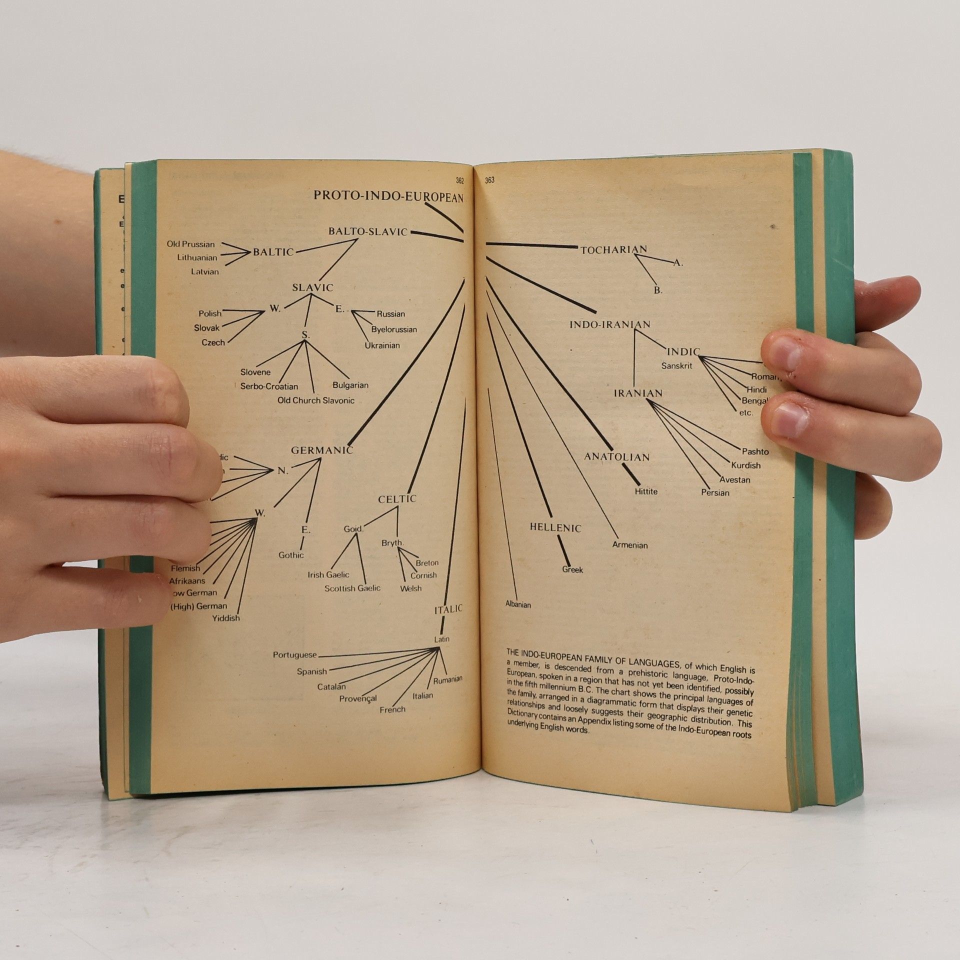 Collectif d'auteurs The American Heritage Dictionary of the English Language