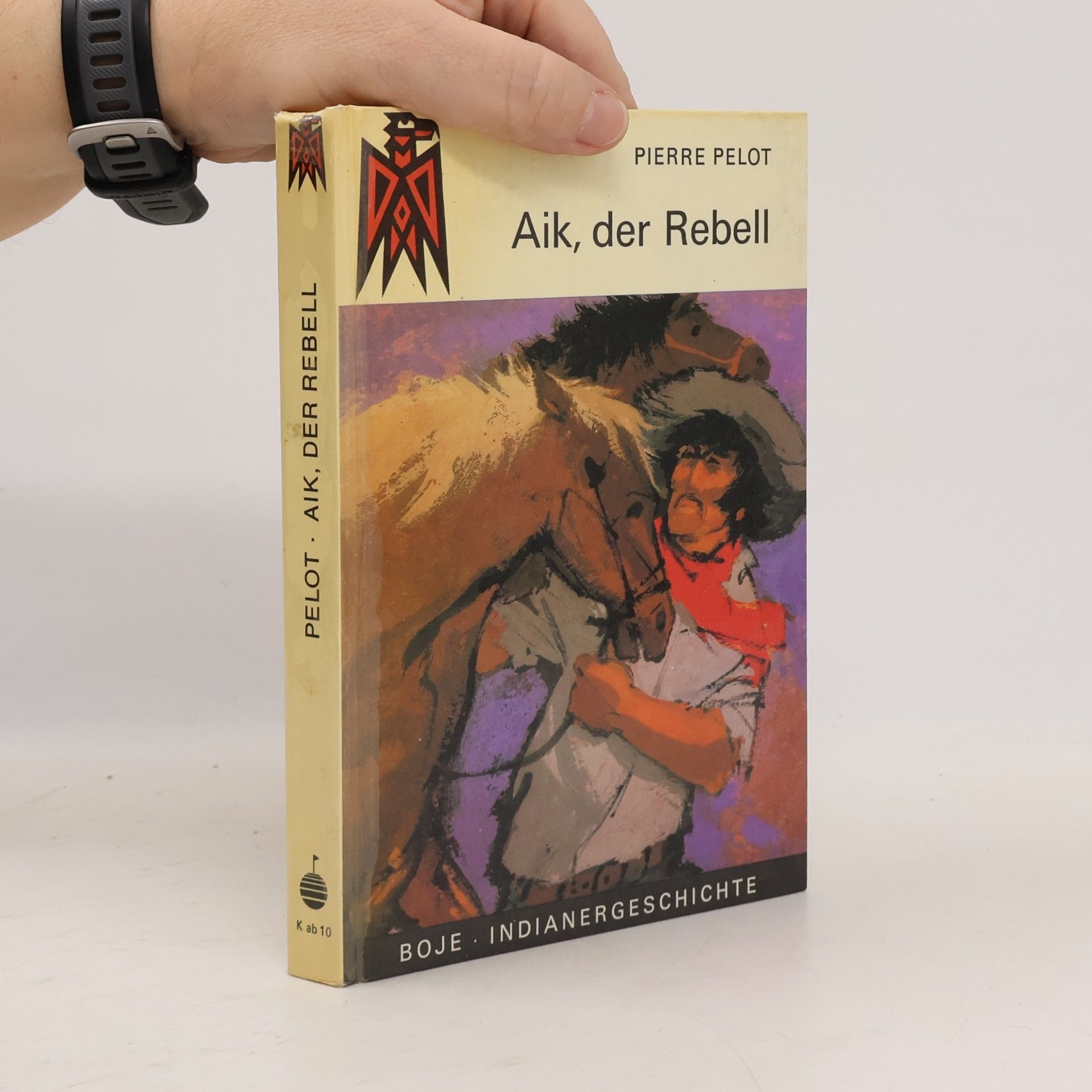 Pierre Pelot Aik, der Rebell