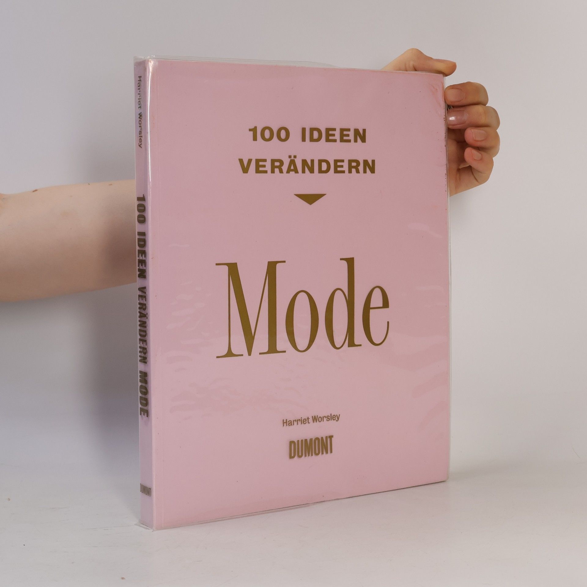 Harriet Worsley 100 Ideen verändern Mode