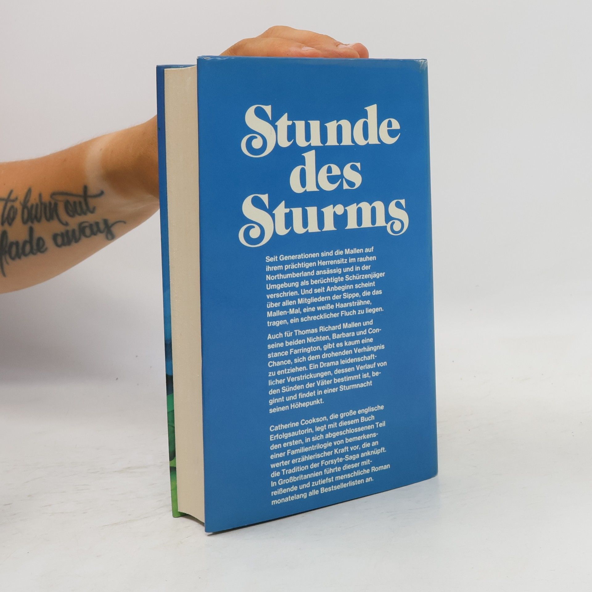 Catherine Cookson Stunde des Sturms