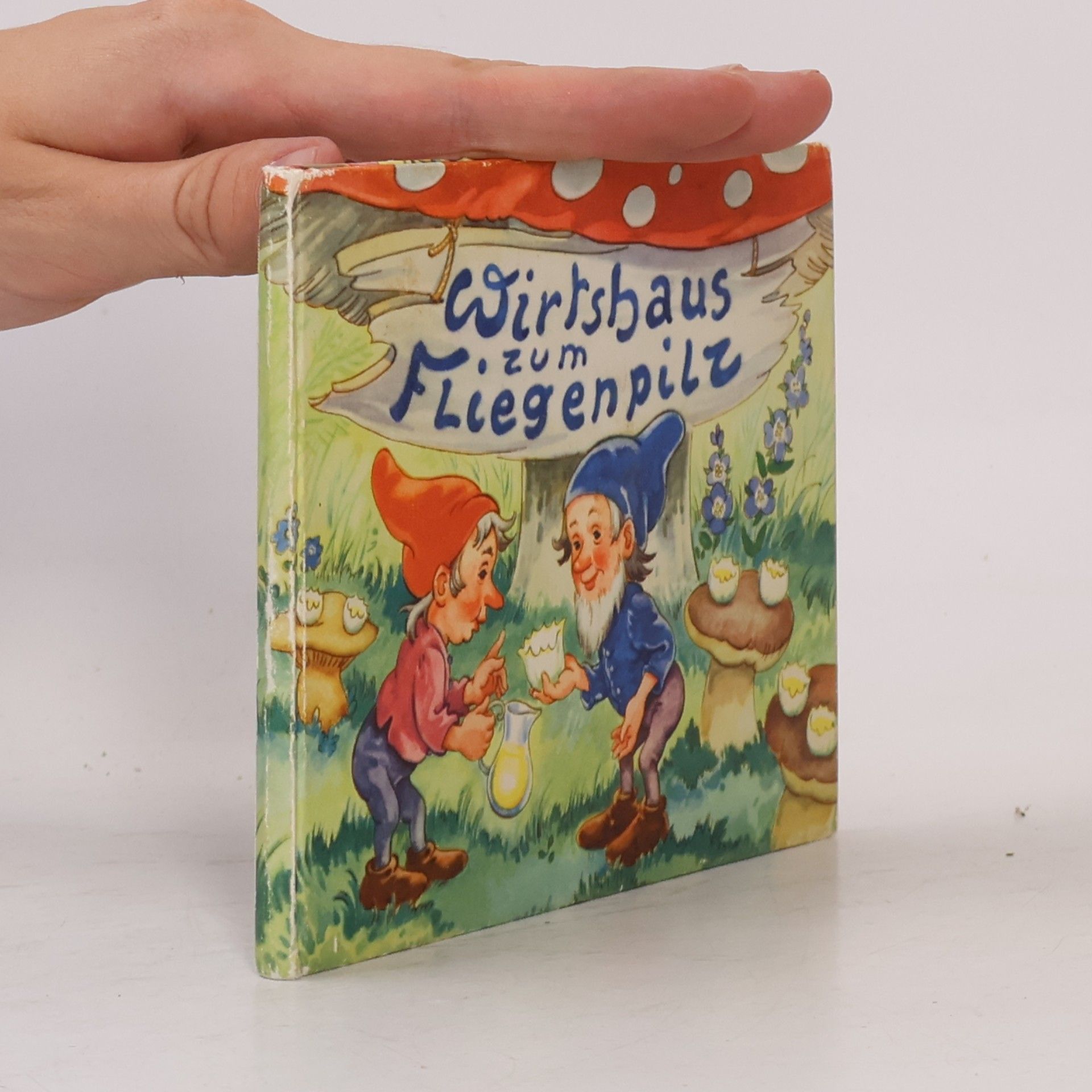 Das Wirtshaus zum Fliegenpilz
