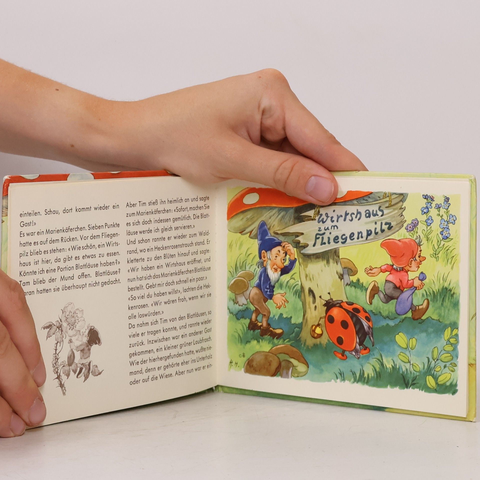 Elfriede Kudera Das Wirtshaus zum Fliegenpilz