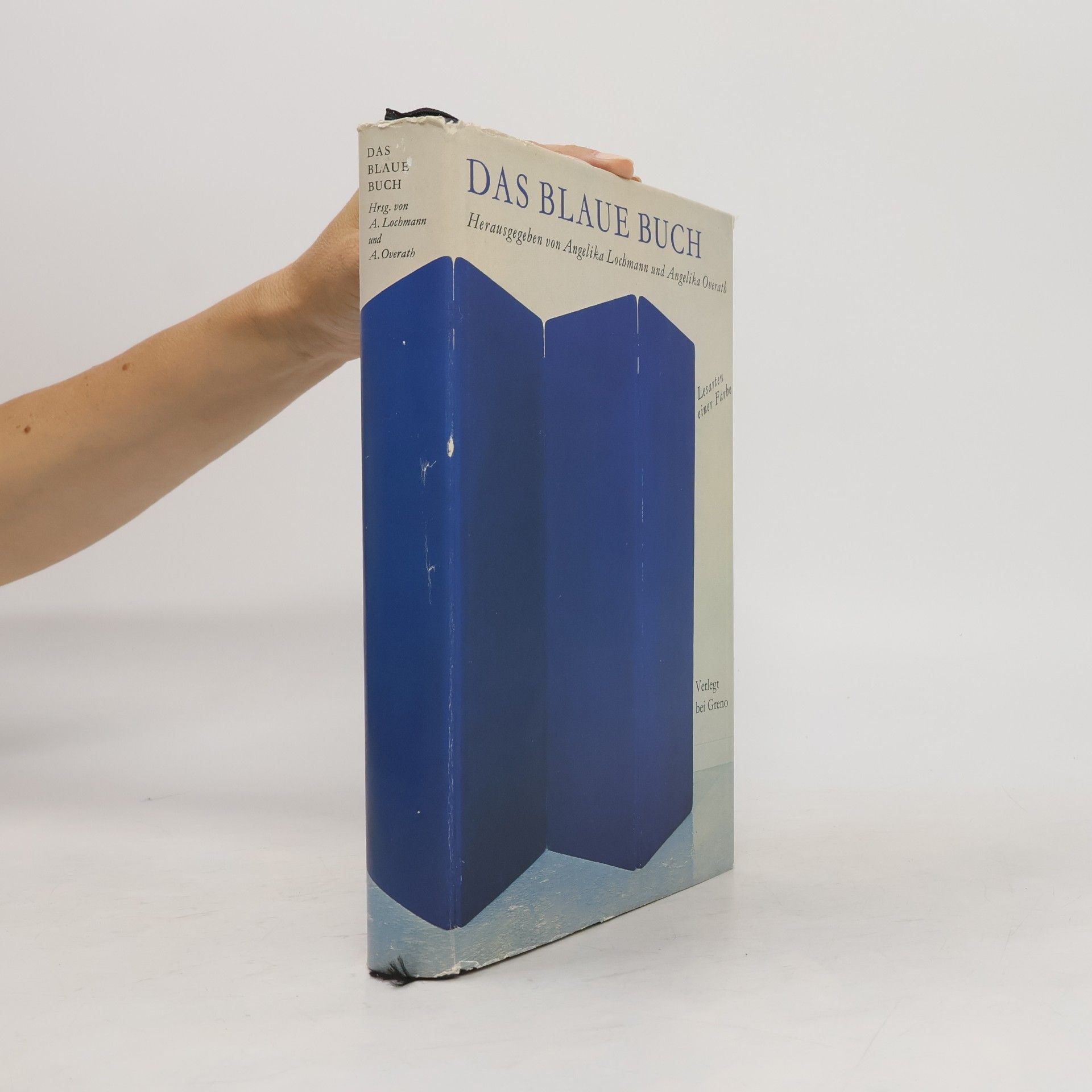 Angelika Lochmann Das blaue Buch