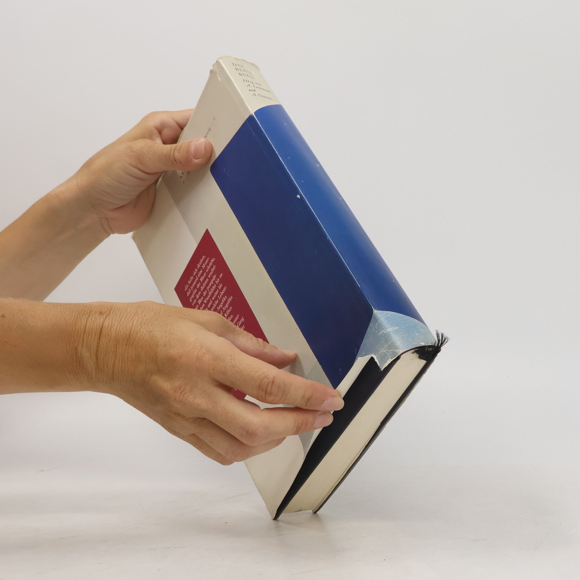 Angelika Lochmann Das blaue Buch