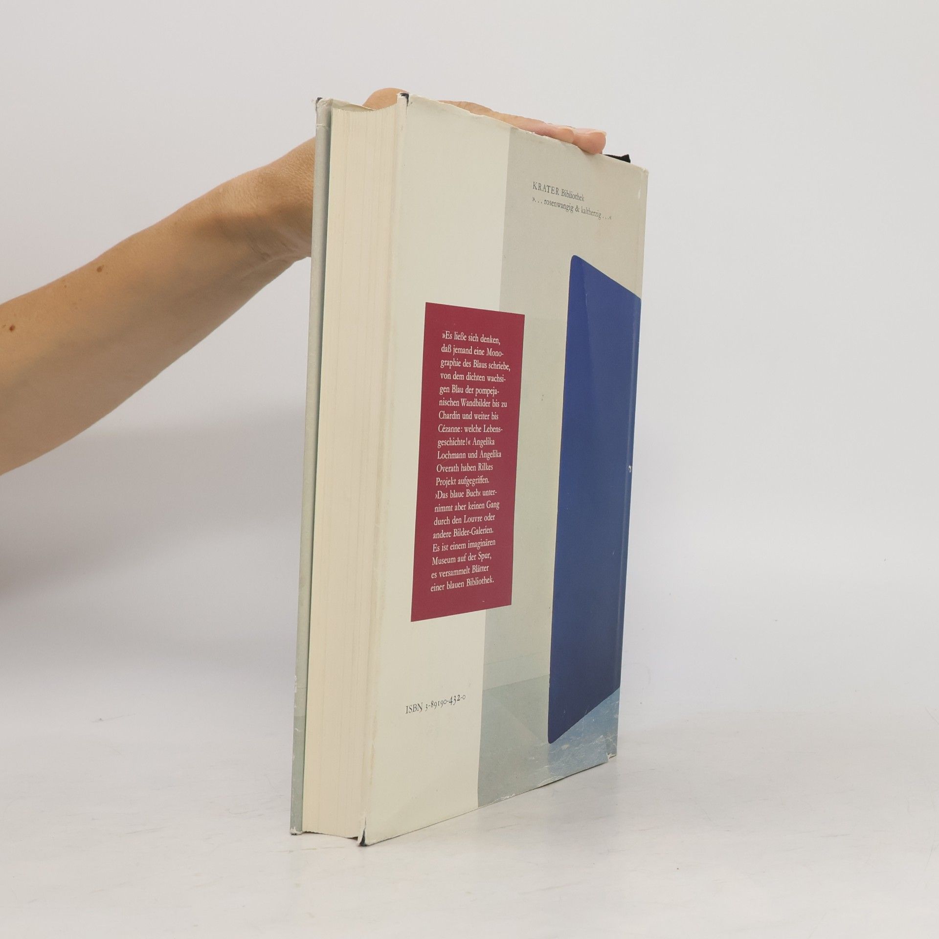 Angelika Lochmann Das blaue Buch