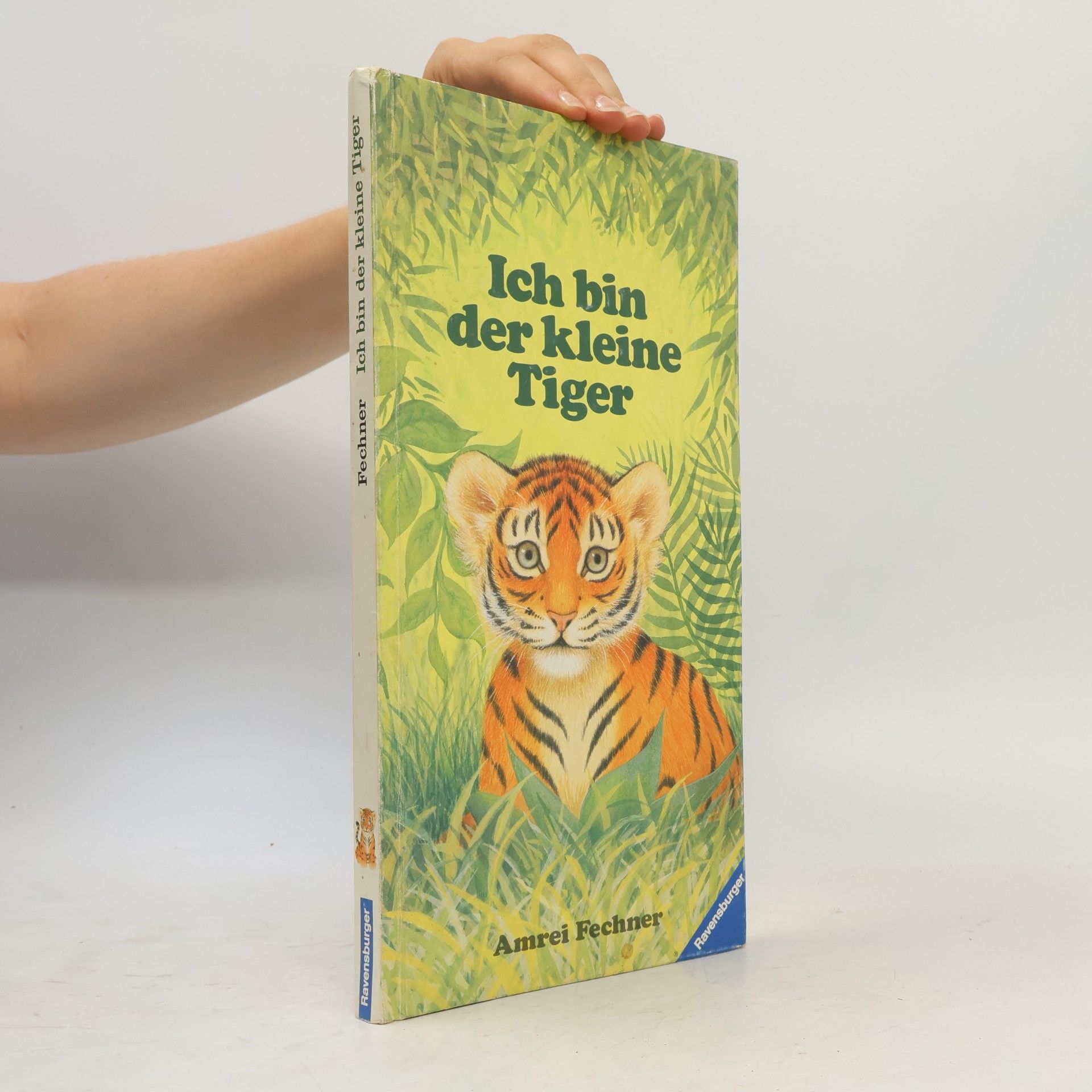 Amrei Fechner Ich bin der kleine Tiger
