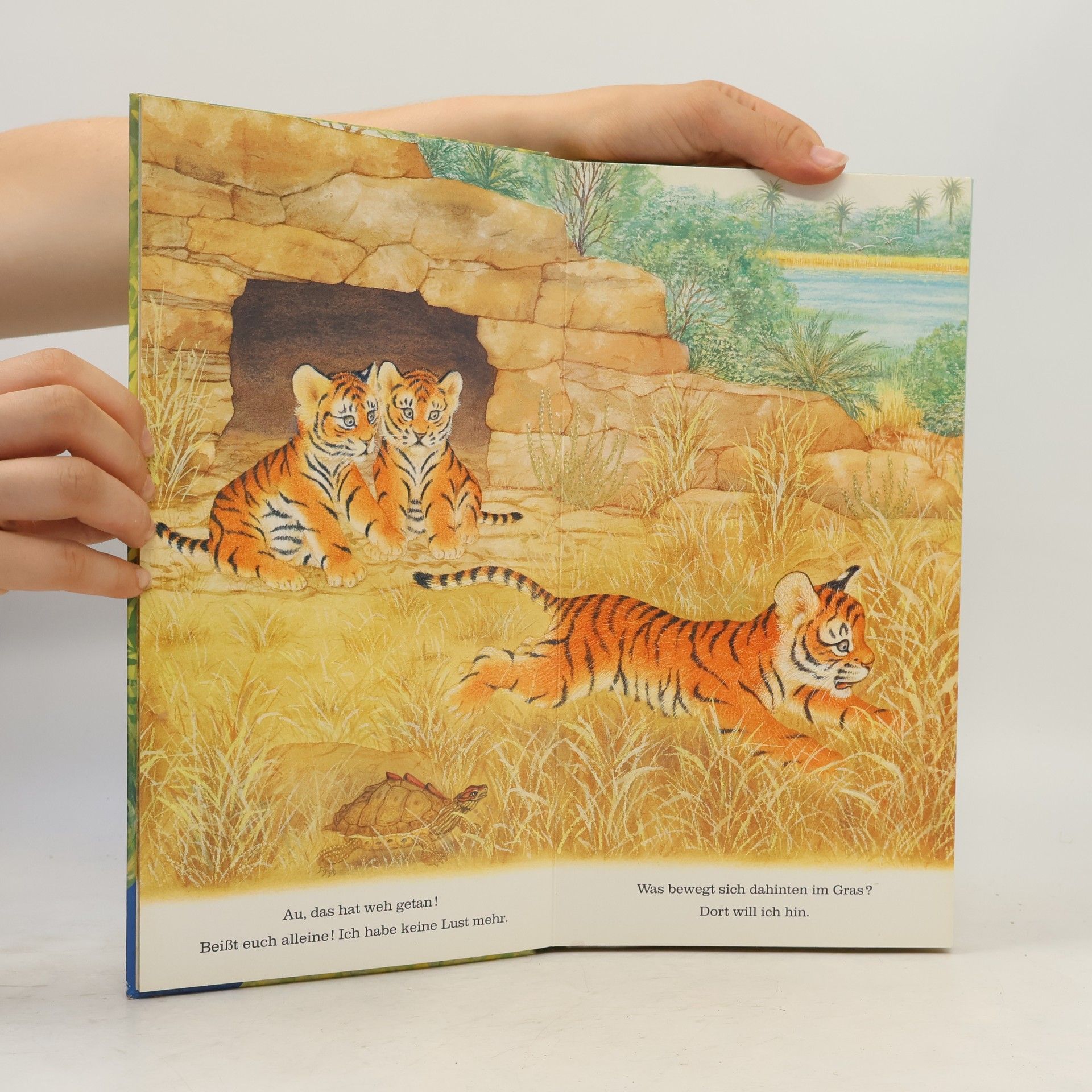 Amrei Fechner Ich bin der kleine Tiger