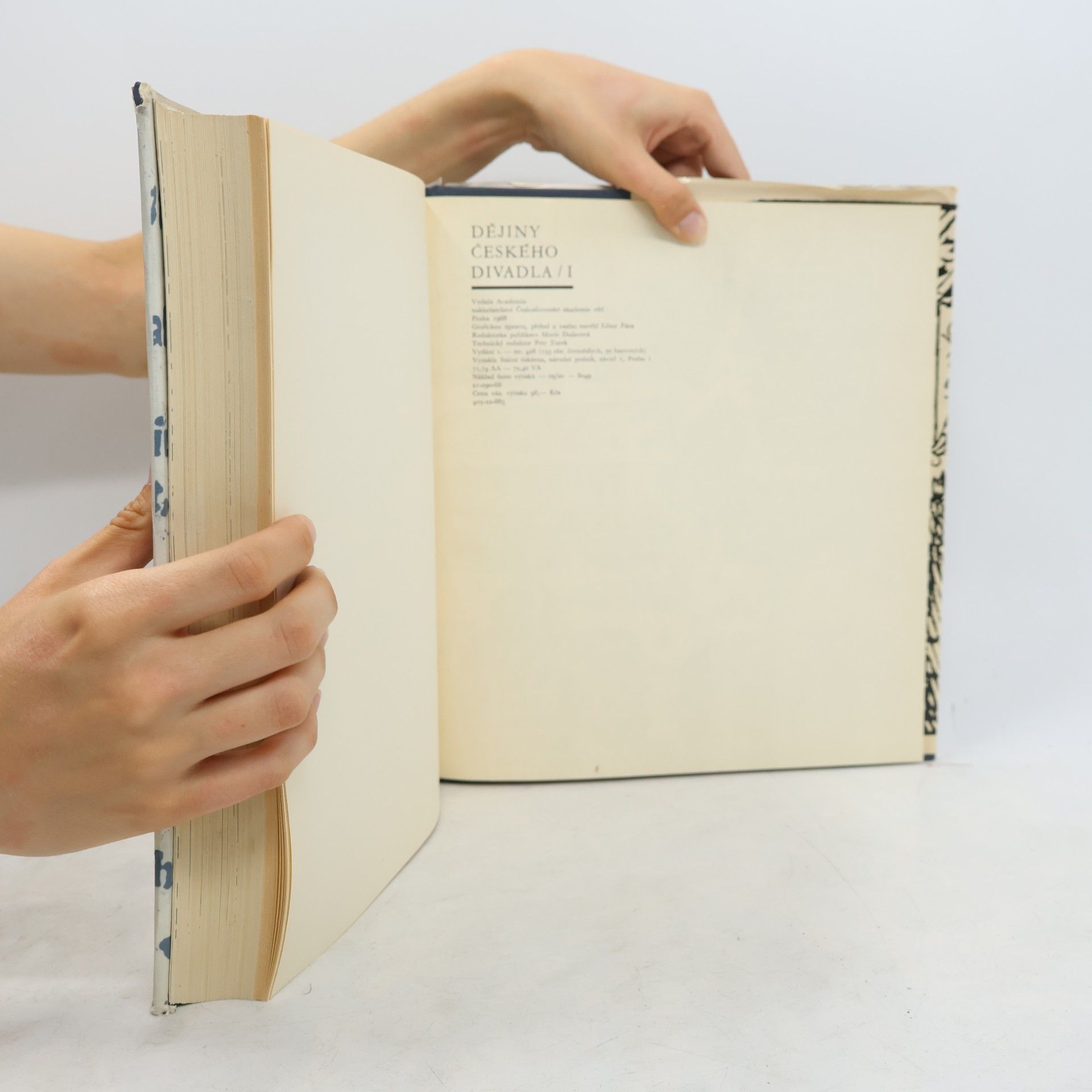 Collectif d'auteurs Dějiny českého divadla I.