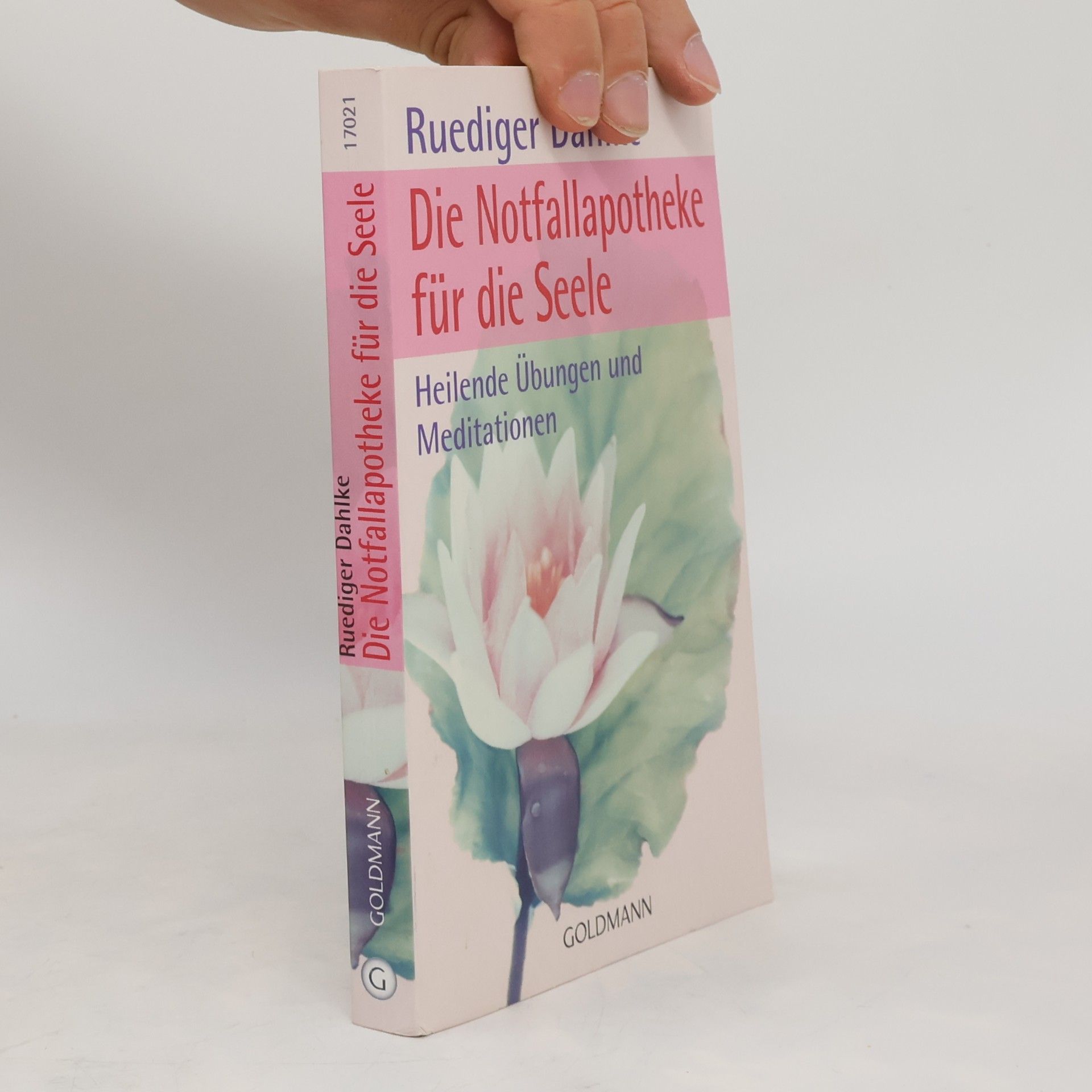Ruediger Dahlke Die Notfallapotheke für die Seele