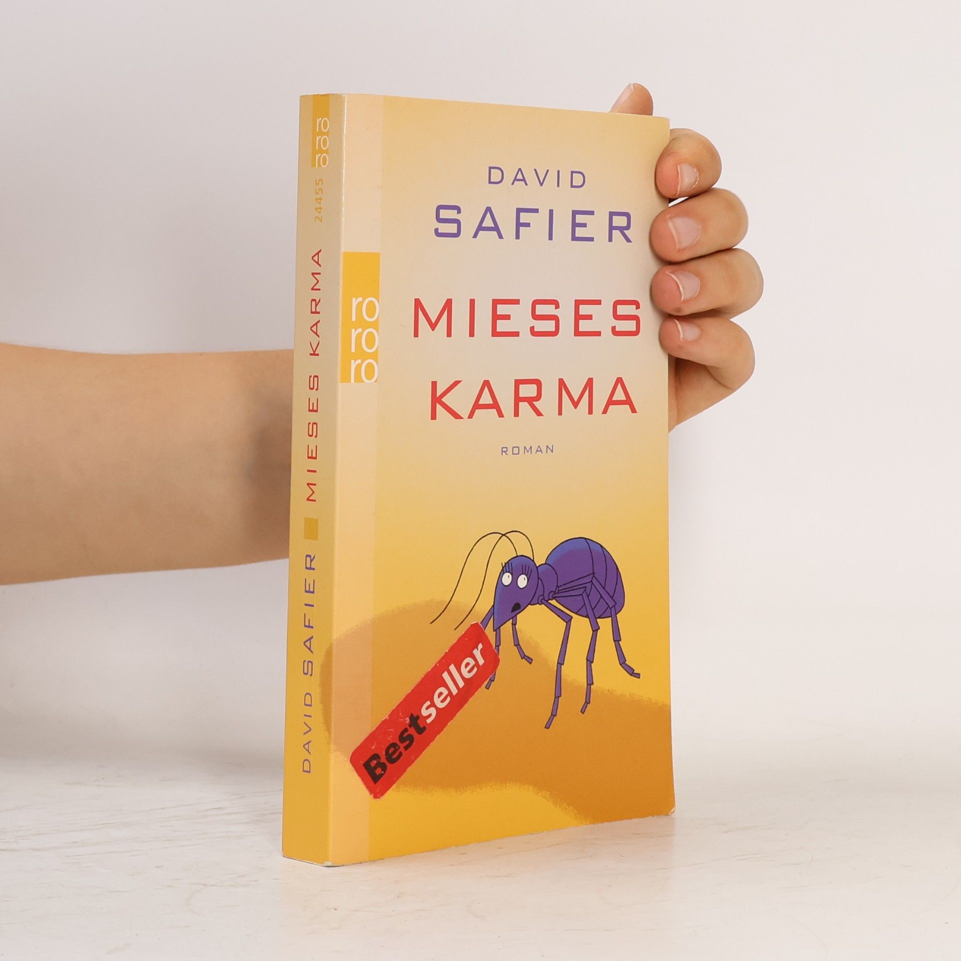 David Safier Mieses Karma