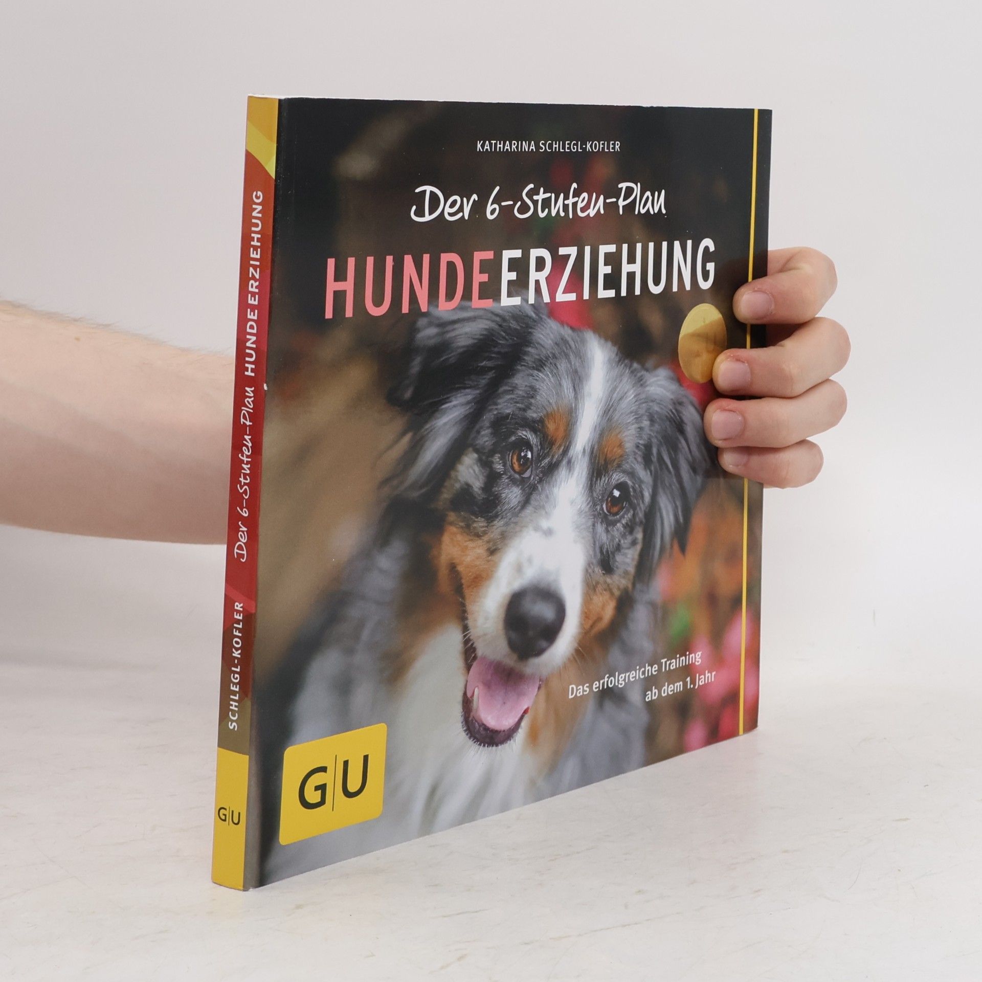 Der 6-Stufen-Plan Hundeerziehung