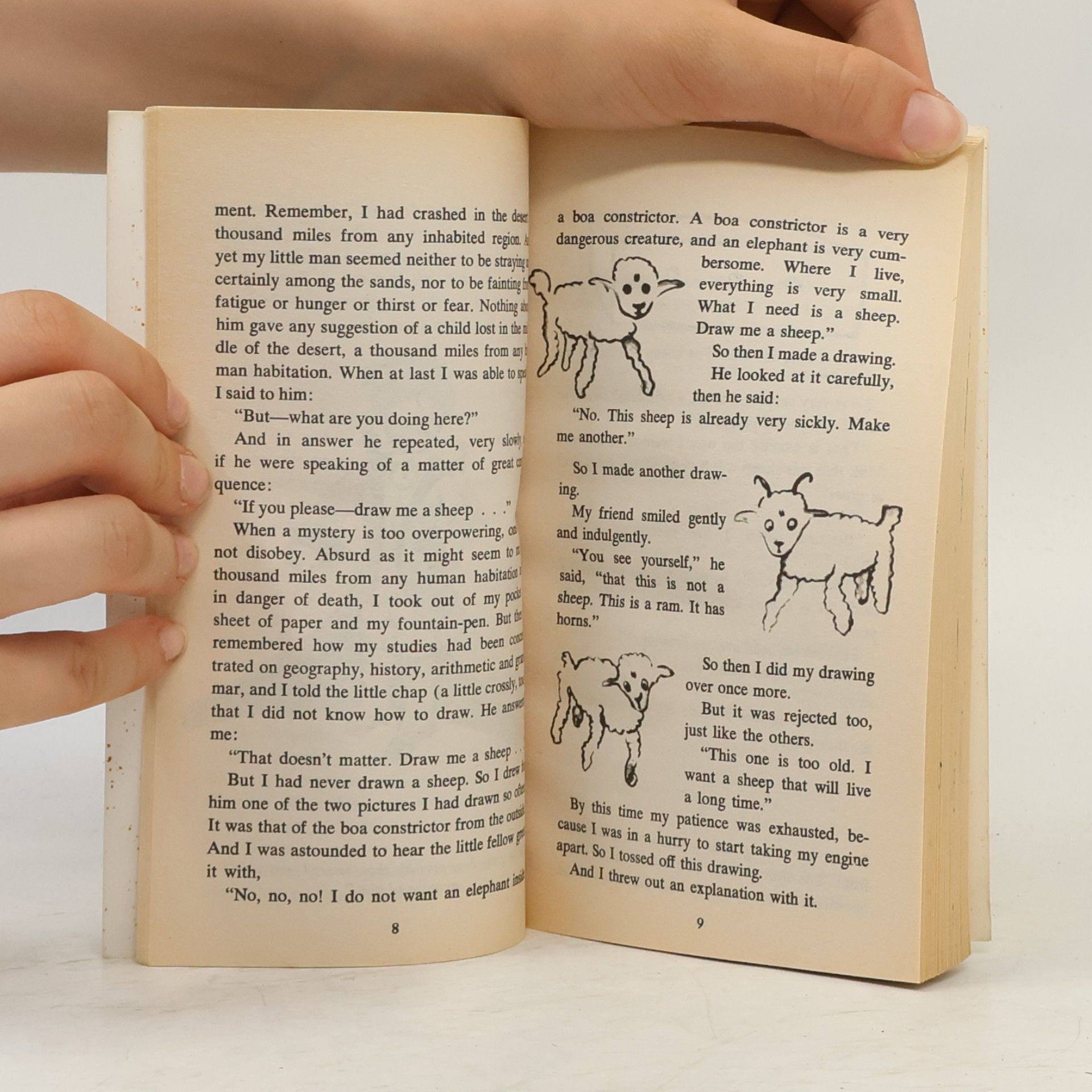 Katherine Woods The Little Prince