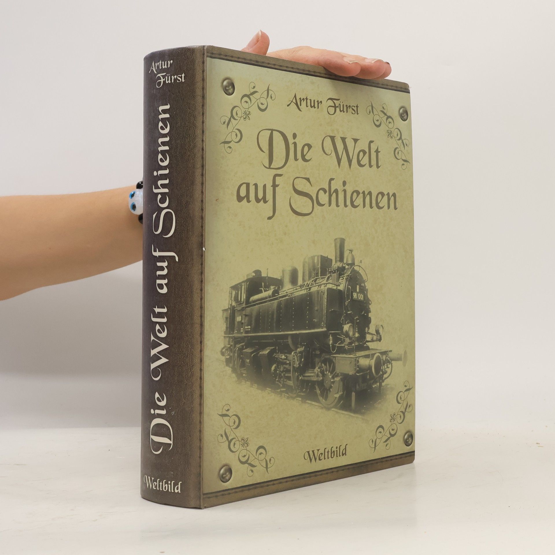 Artur Fürst Die Welt auf Schienen