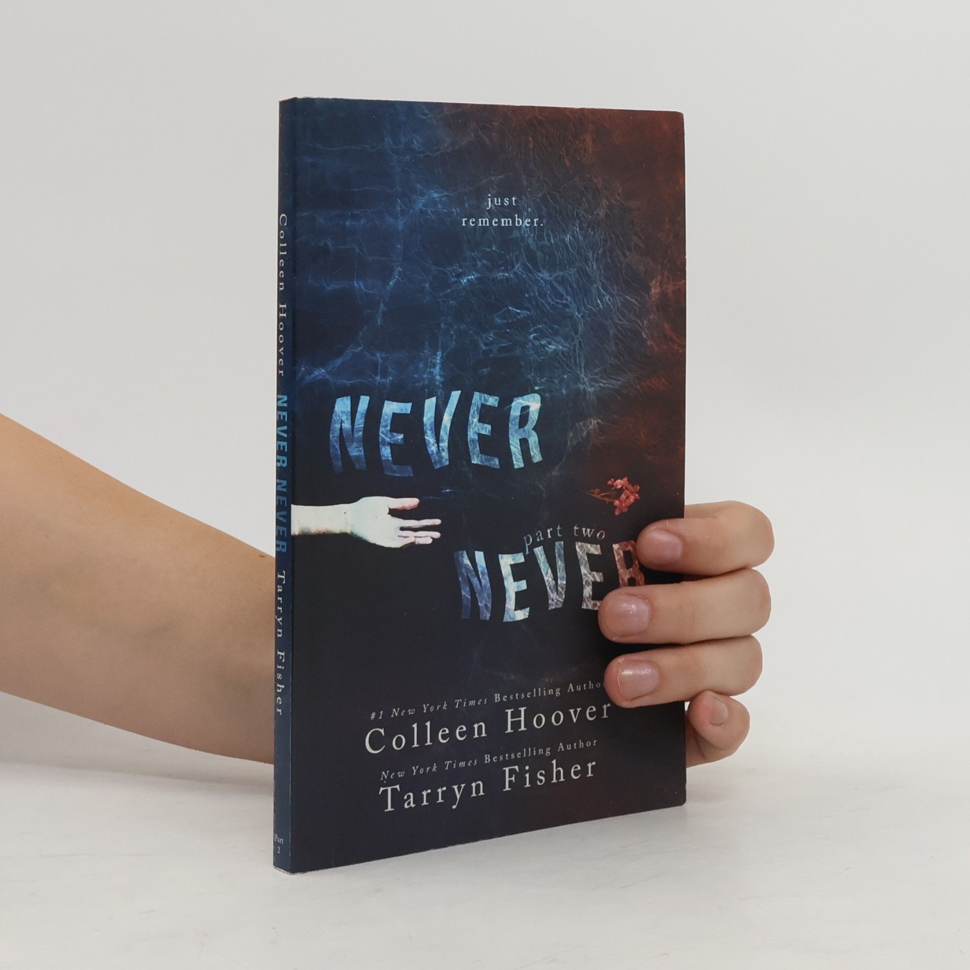 Colleen Hoover Never Never 2