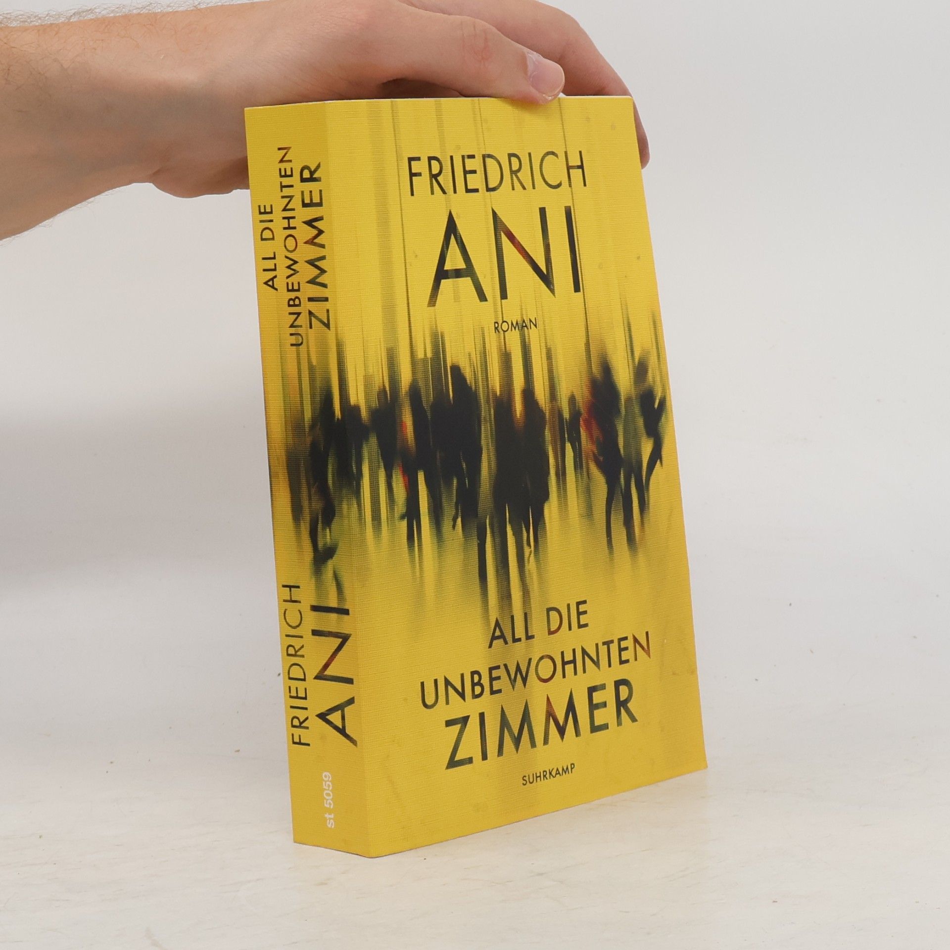 Friedrich Ani All die unbewohnten Zimmer