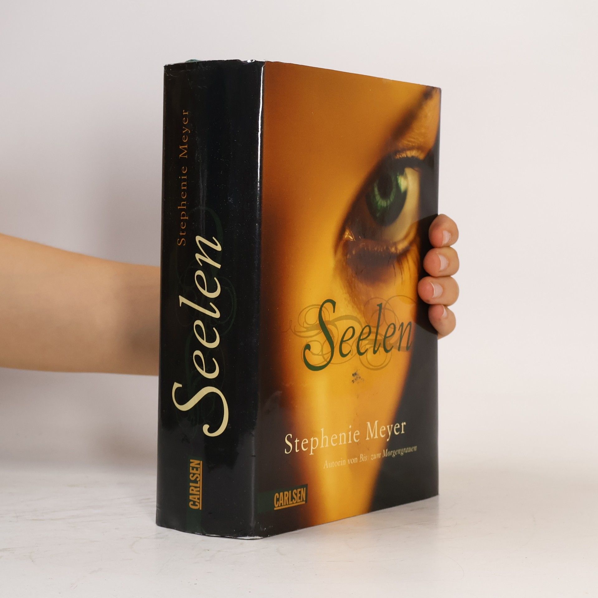 Stephenie Meyer Seelen