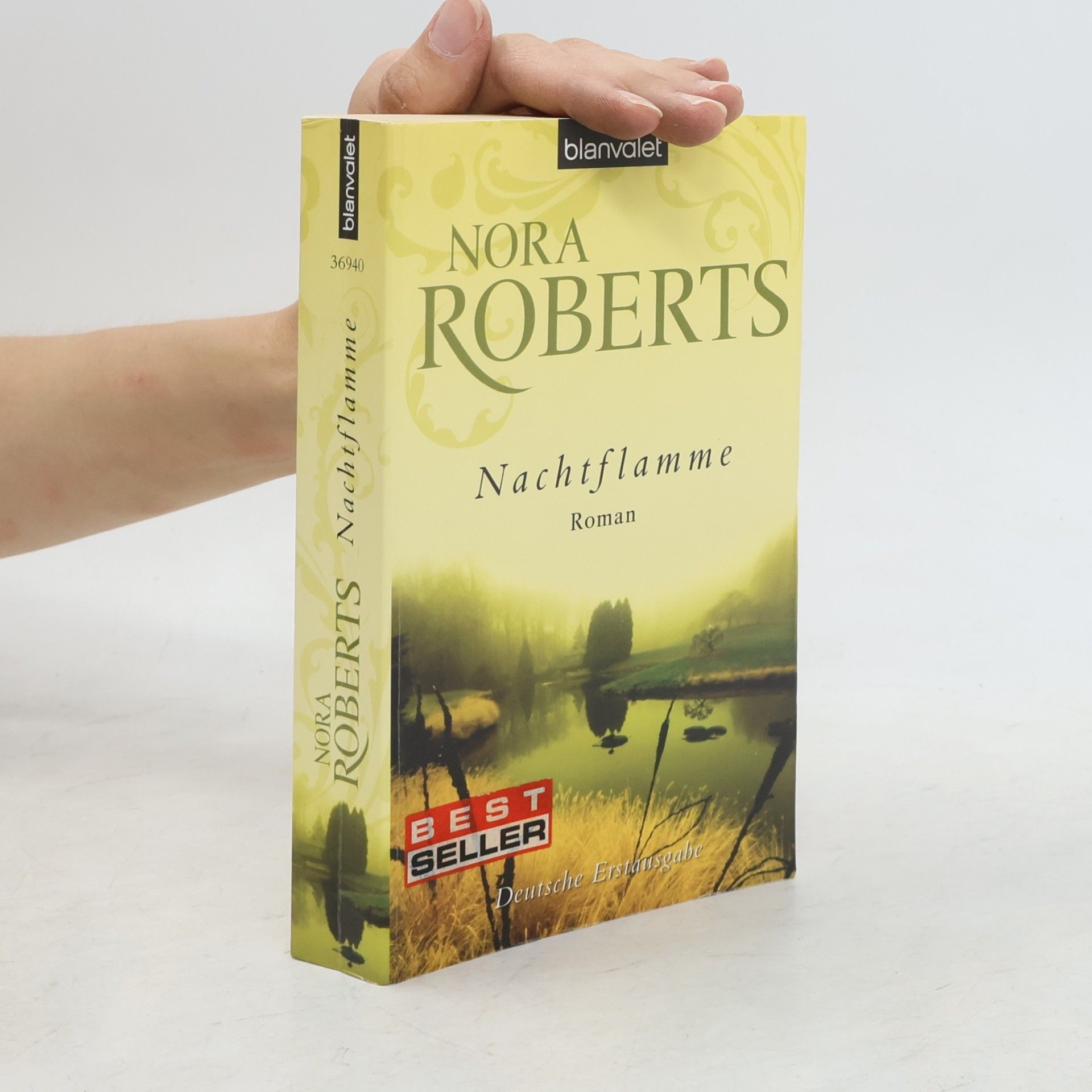 Nora Roberts Nachtflamme