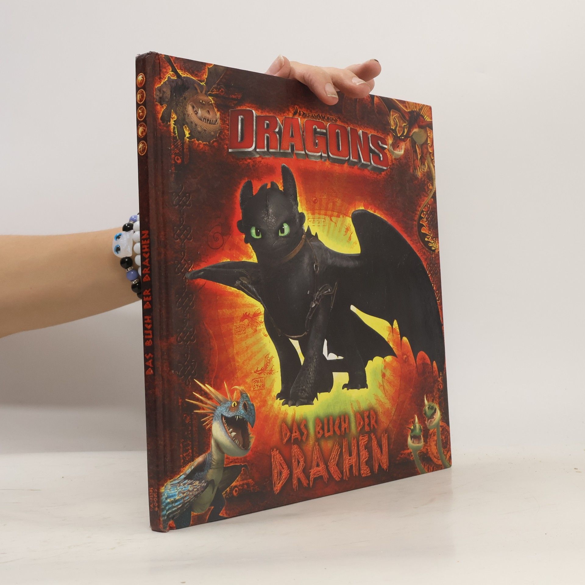 Maggie Testa Dragons - das Buch der Drachen