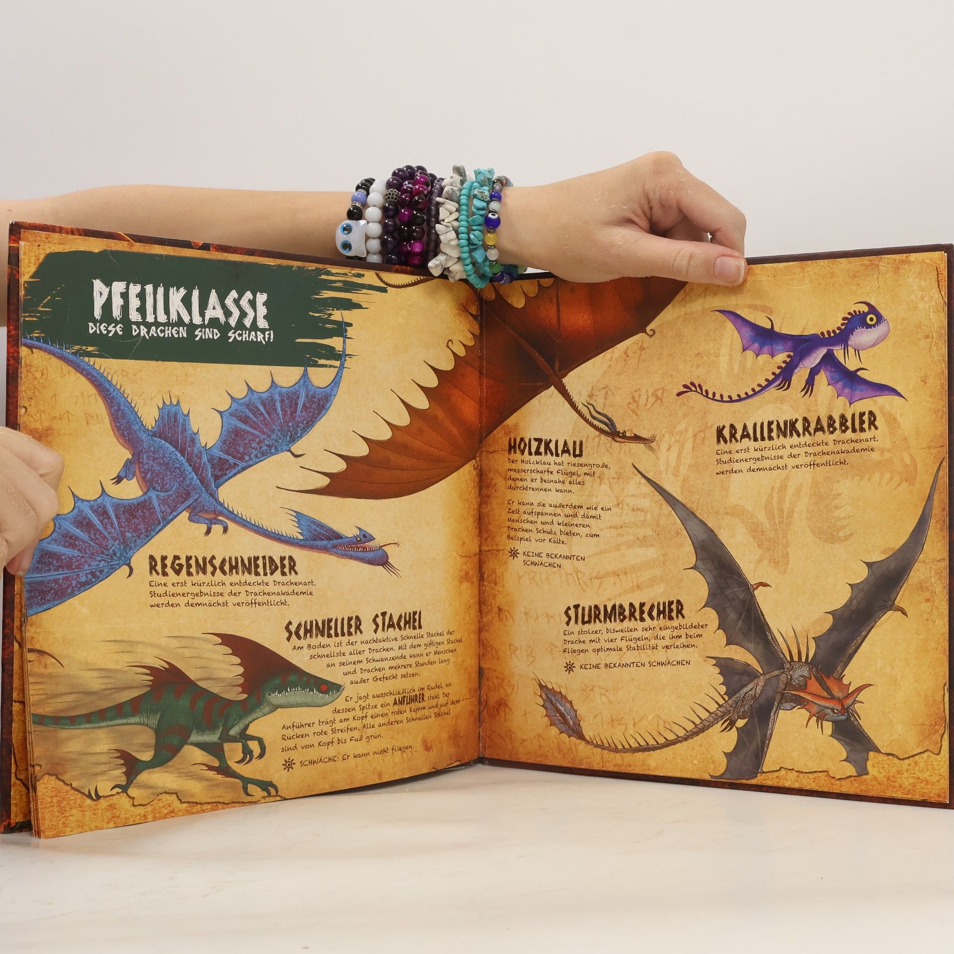 Maggie Testa Dragons - das Buch der Drachen