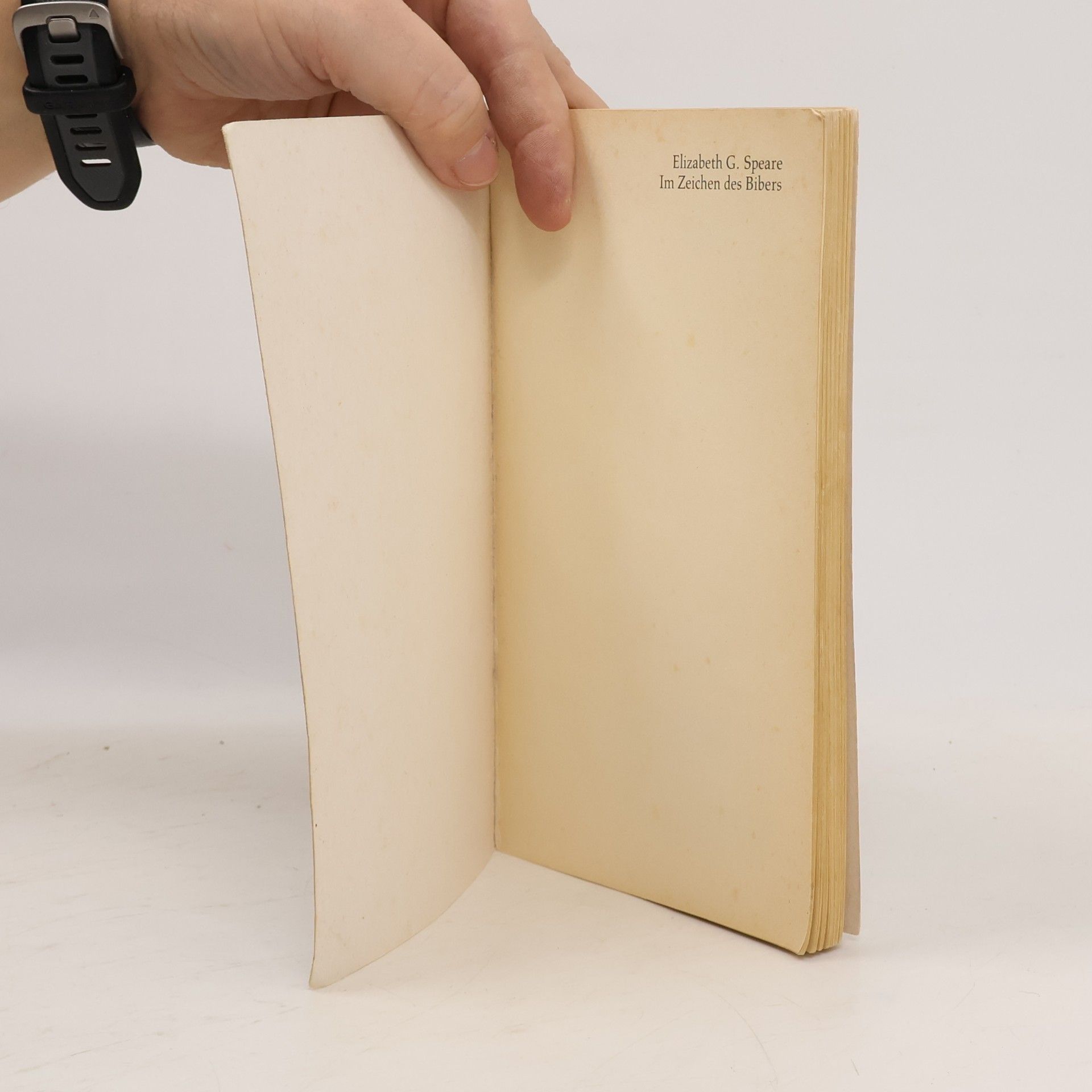 Elizabeth George Speare Im Zeichen des Bibers