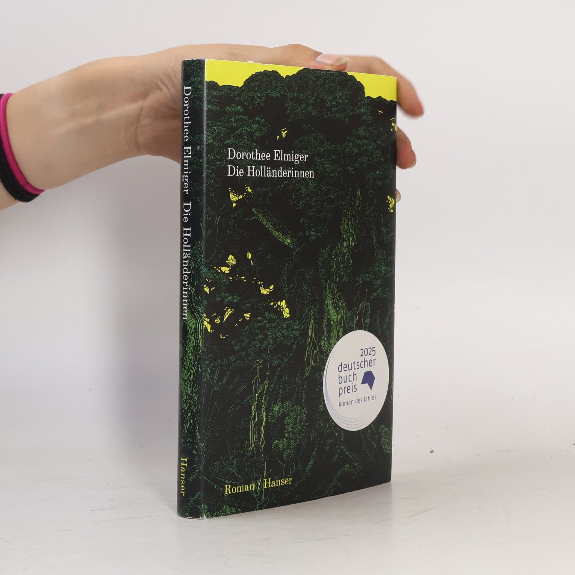 Dorothee Elmiger Die Holländerinnen