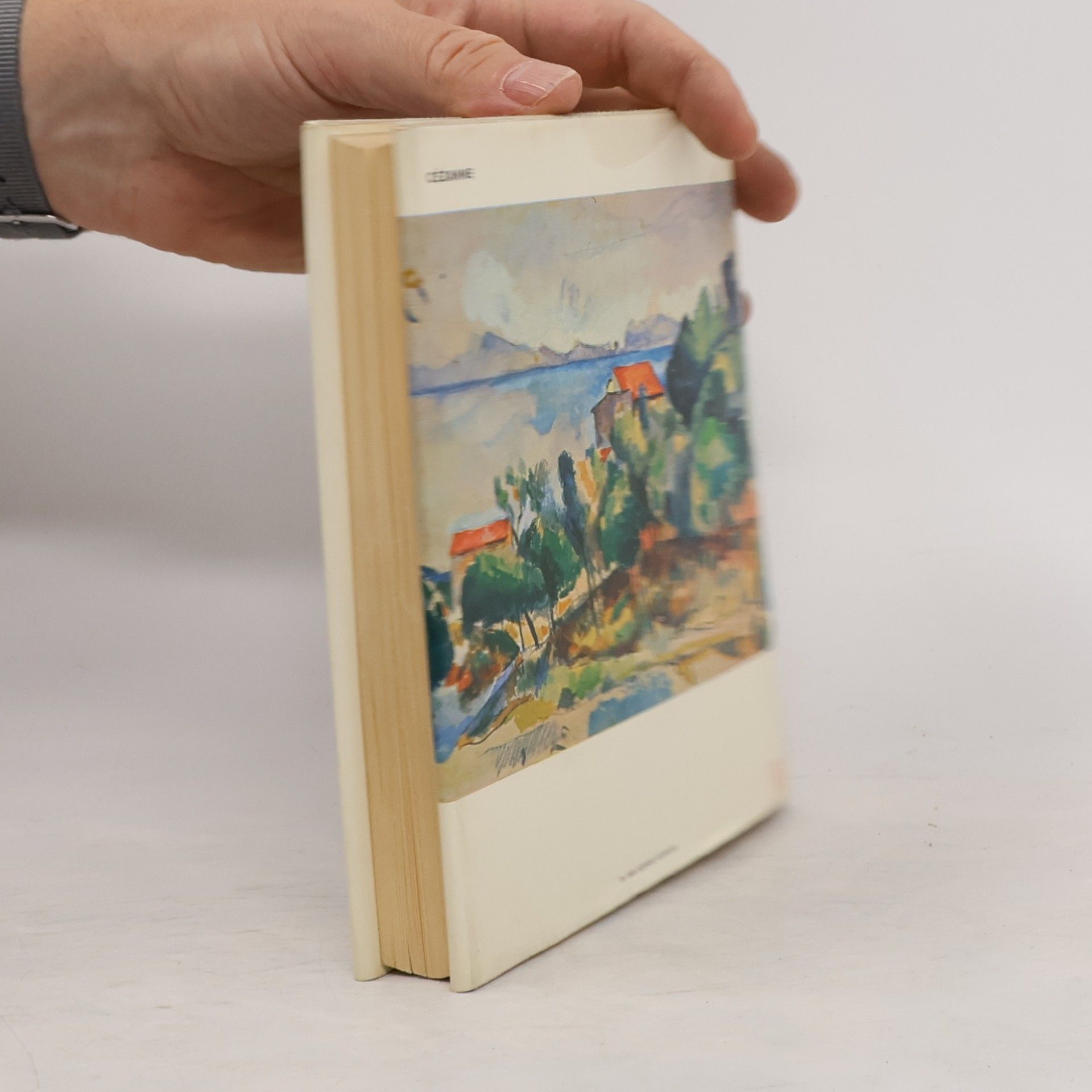 Autorenkollektiv Cézanne