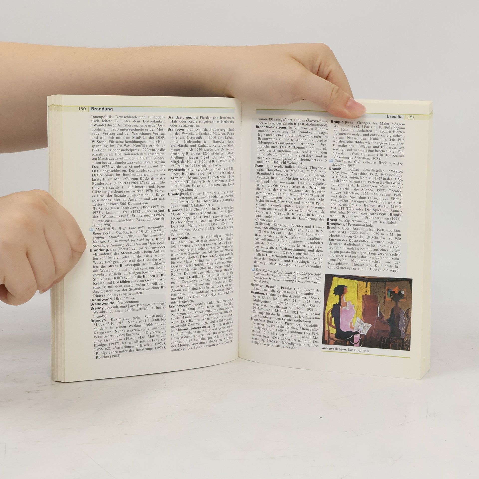 Annette Zwahr Meyers grosses Taschen-Lexikon
