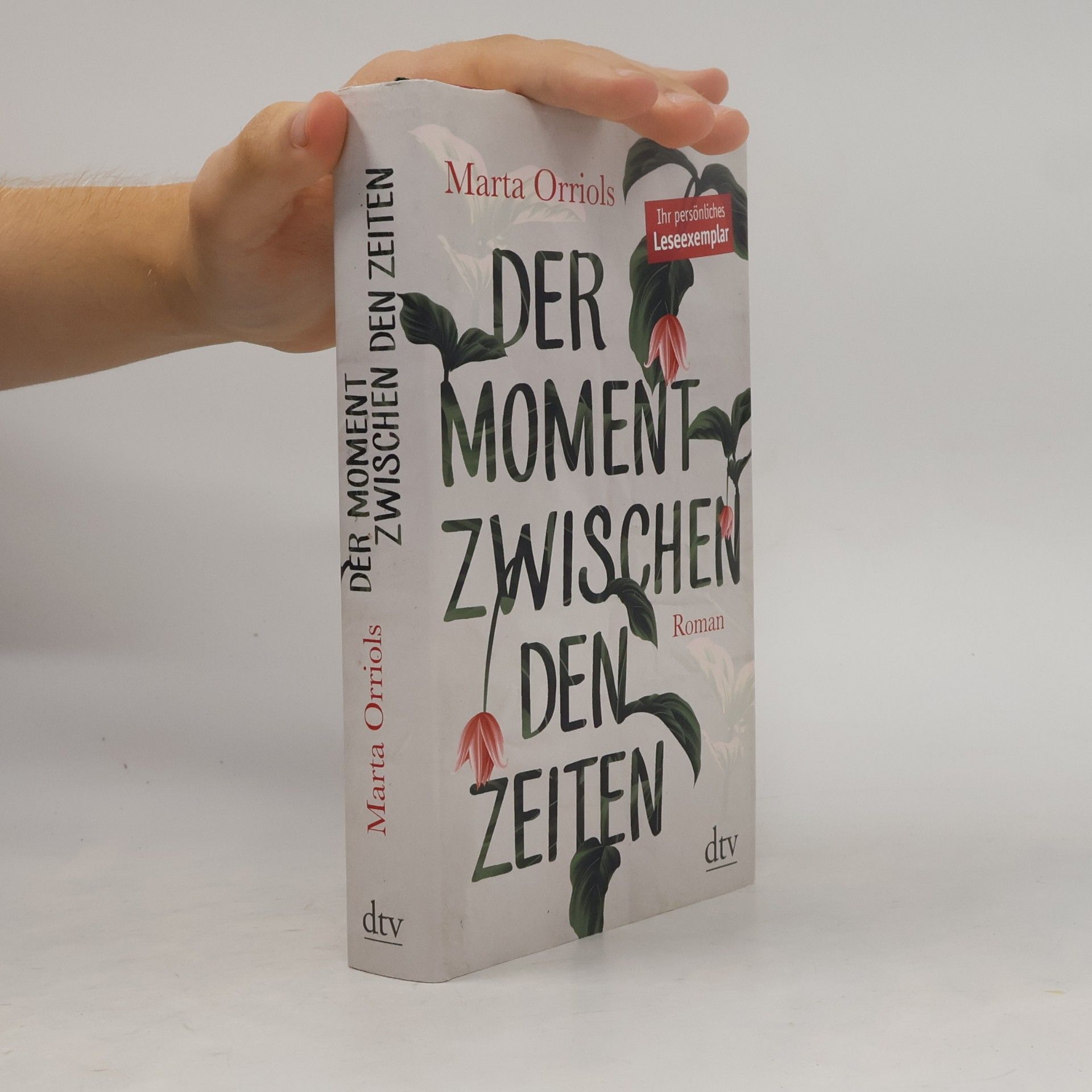 Marta Orriols Der Moment zwischen den Zeiten