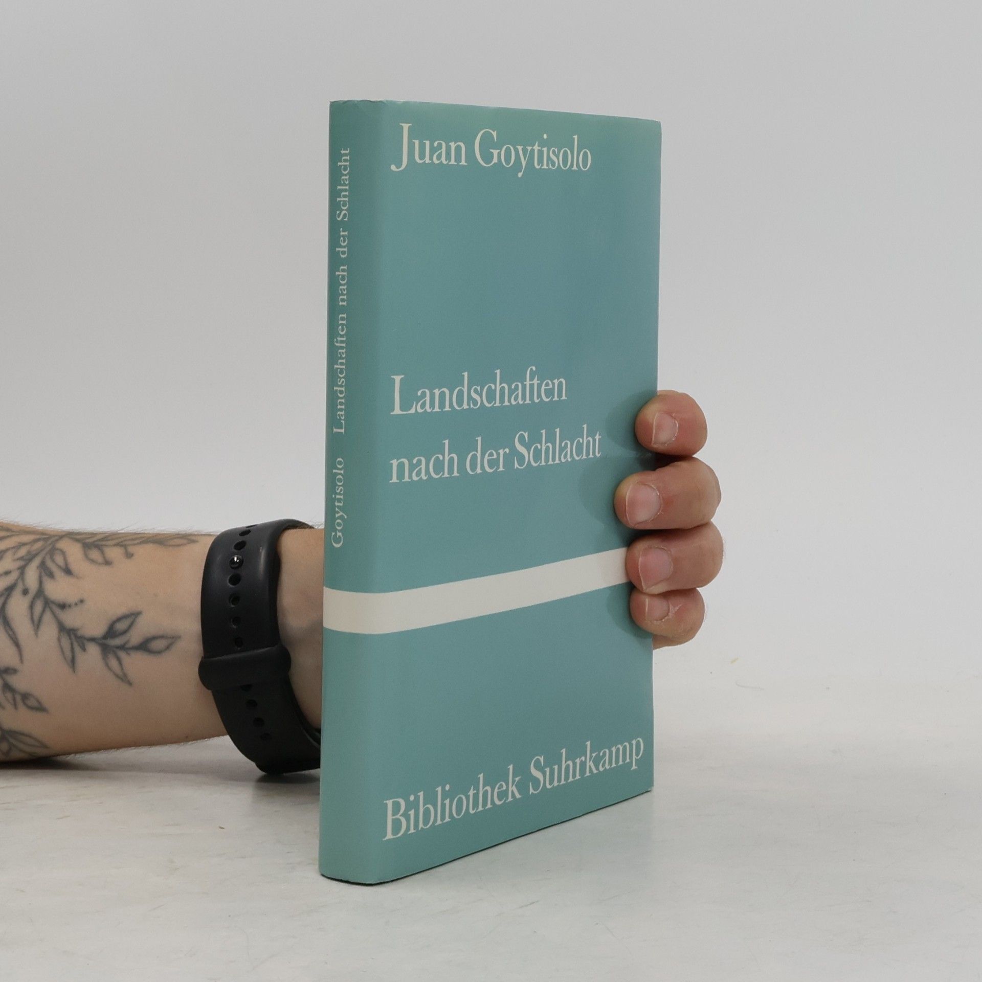 Juan Goytisolo Landschaften nach der Schlacht