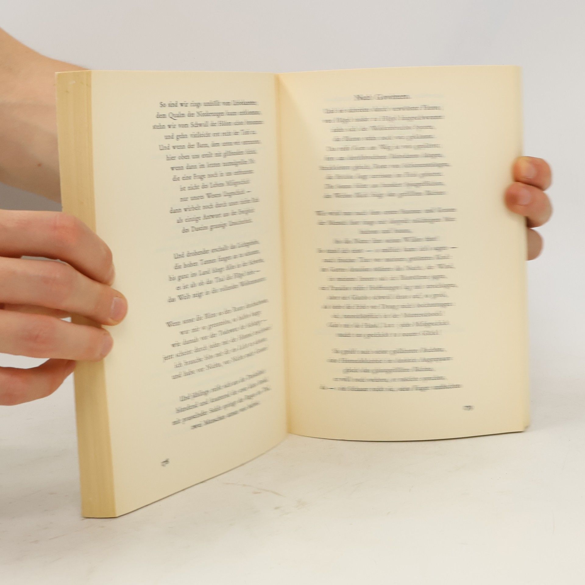 Autorenkollektiv Die Insel II-3
