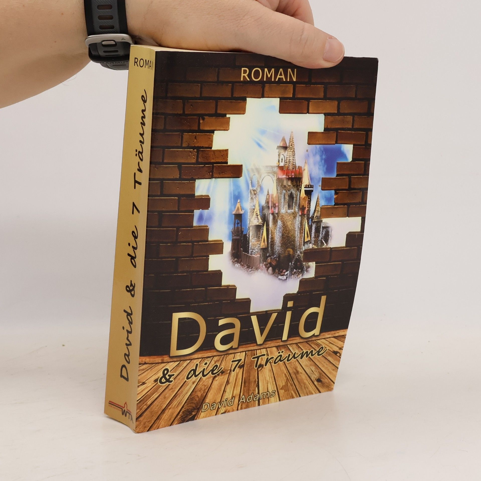 David und die 7 Träume