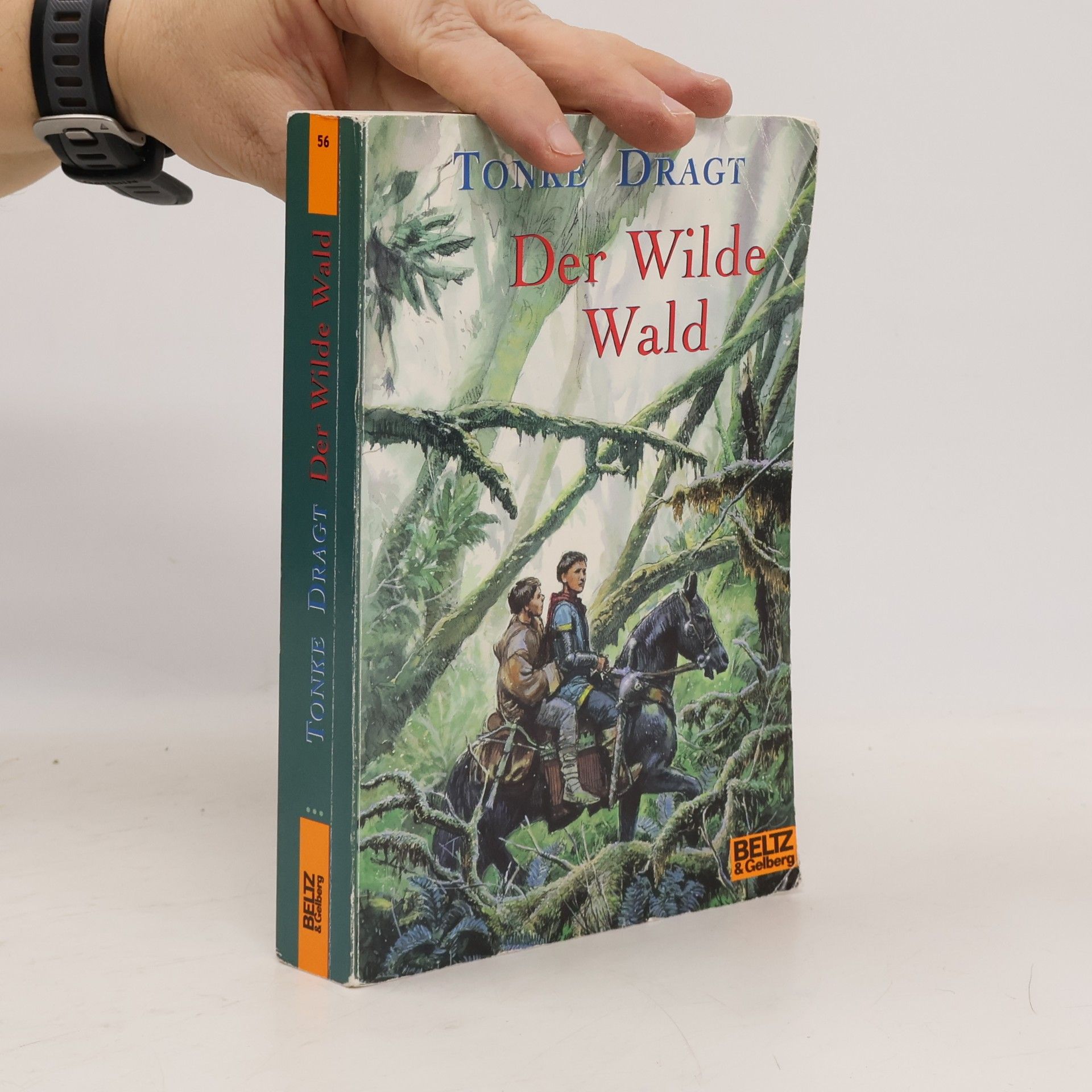 Tonke Dragt Der Wilde Wald