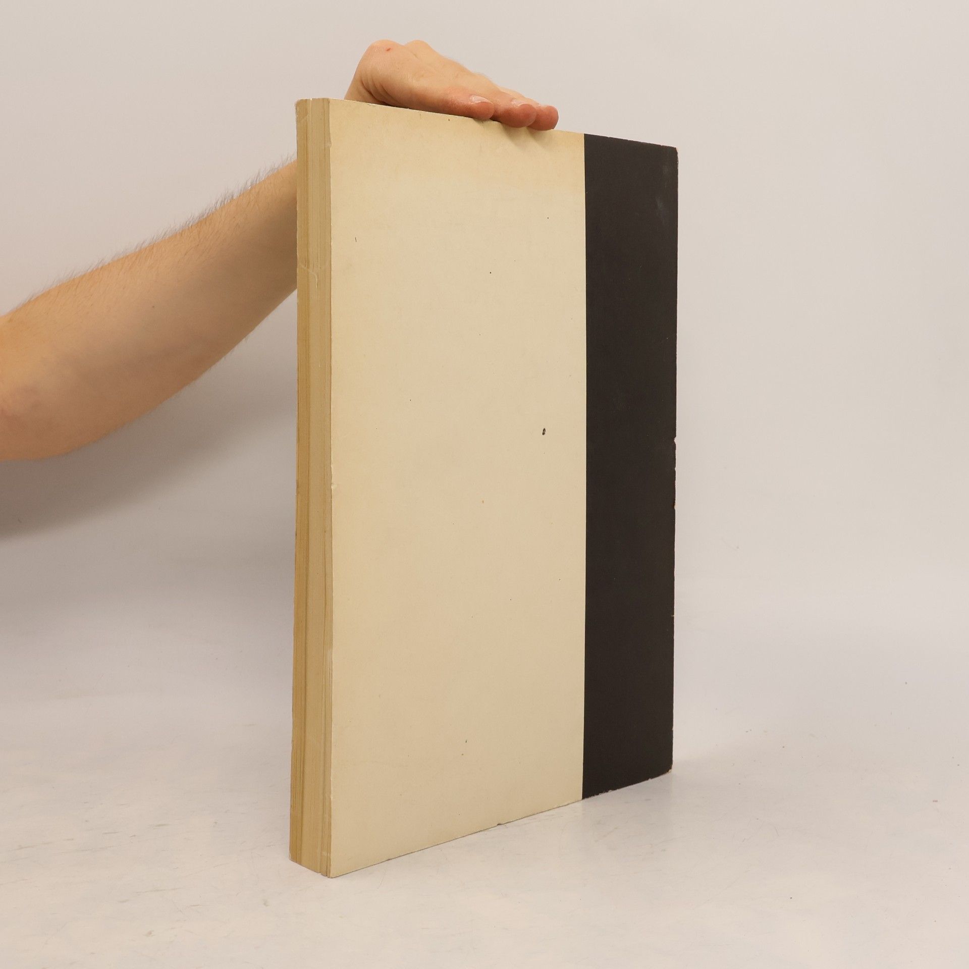 kolektiv Uvedení do dějin světových literatur I