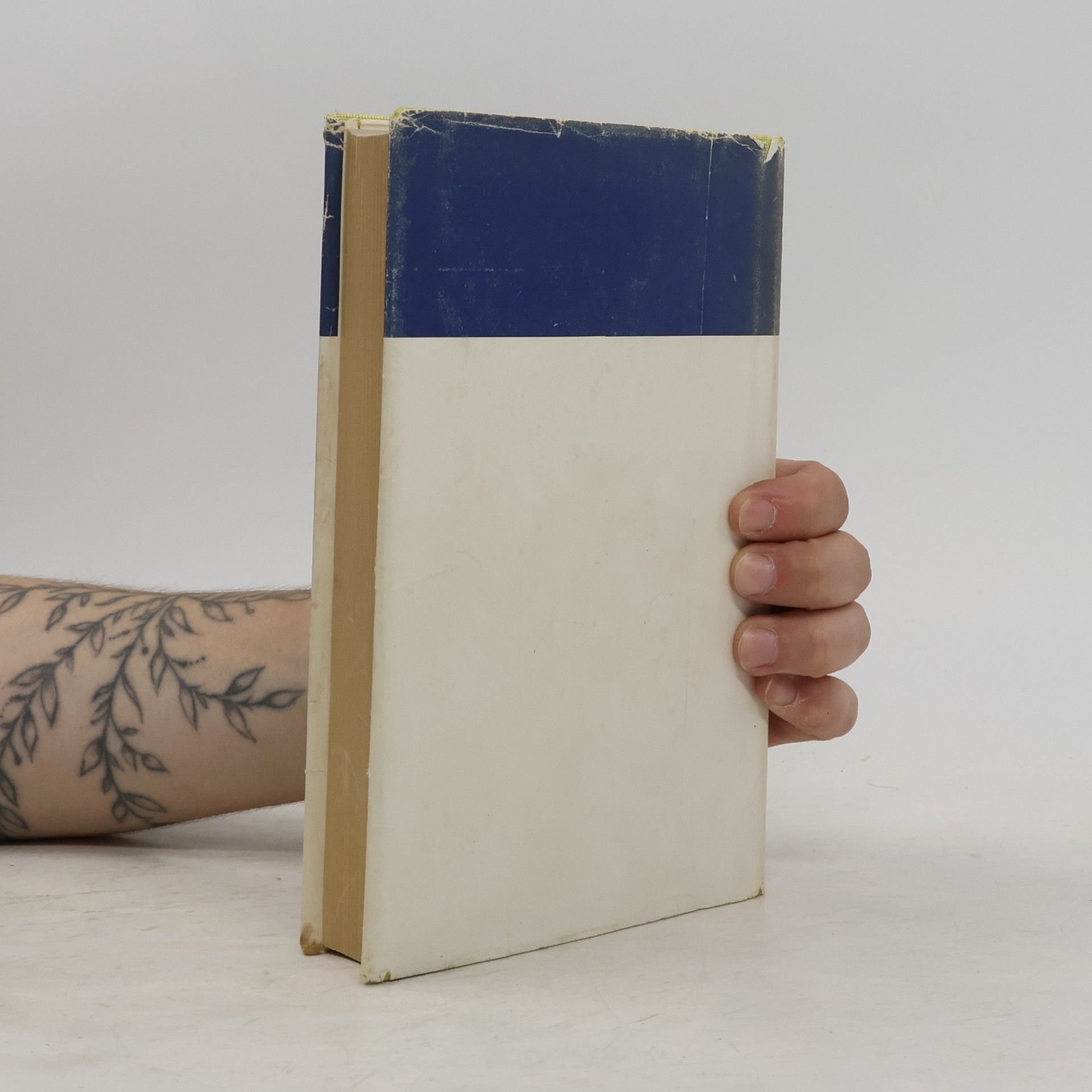 Auteurscollectief Gesammelte Werke. Mein Leben für die Zeitung 1906-1925
